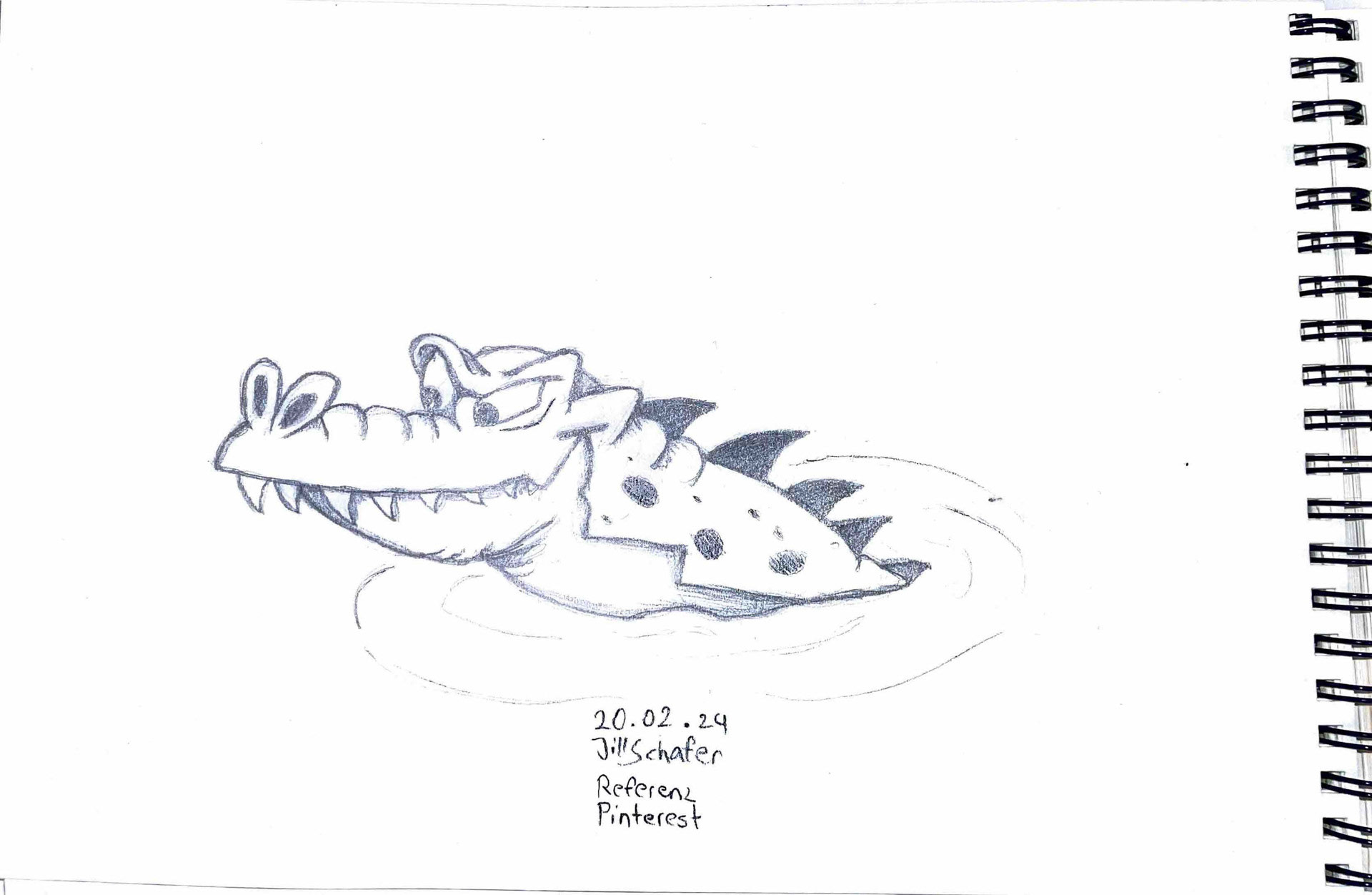 365 Zeichnungen - Drawing every day no matter what