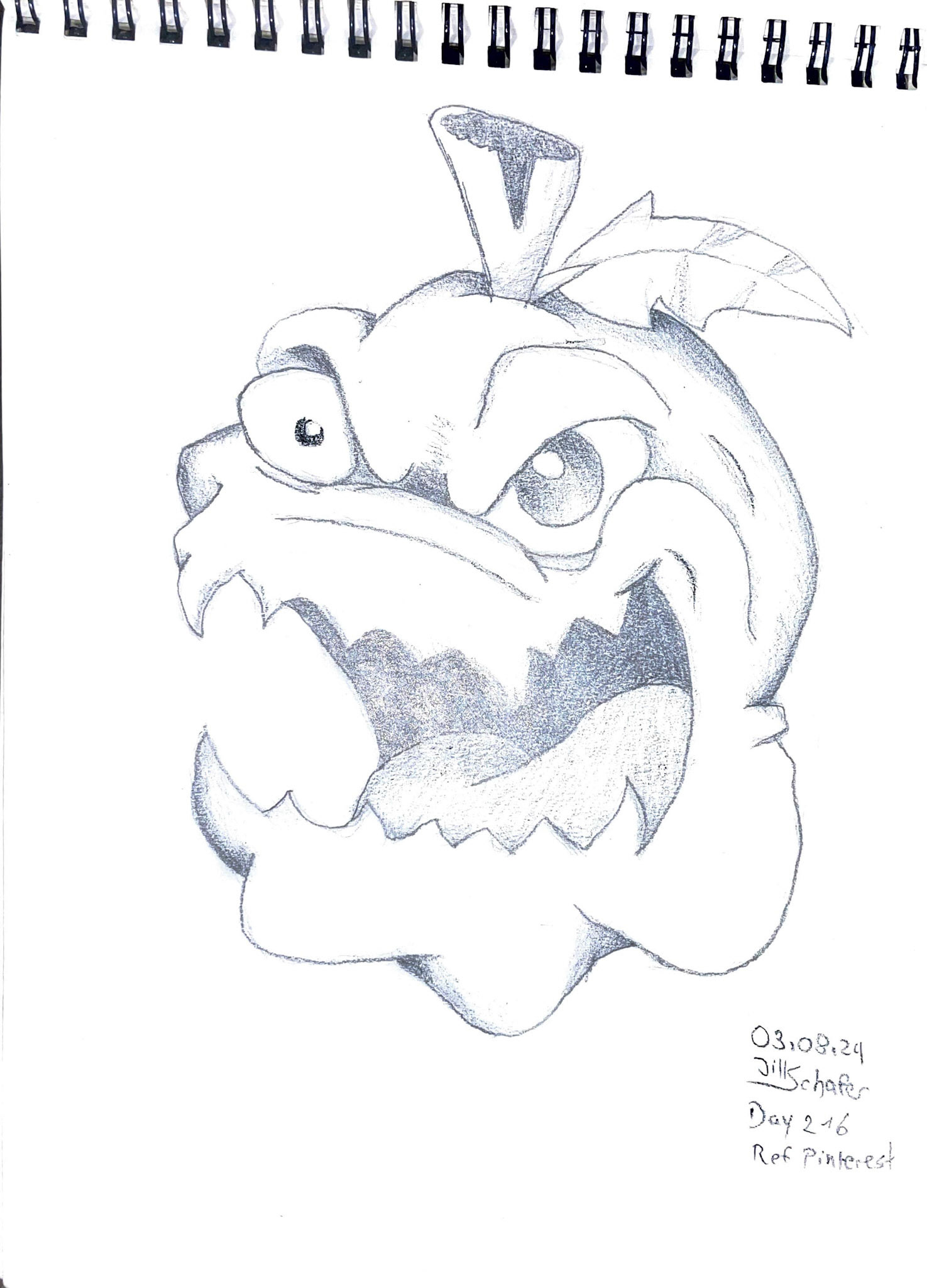 365 Zeichnungen - Drawing every day no matter what