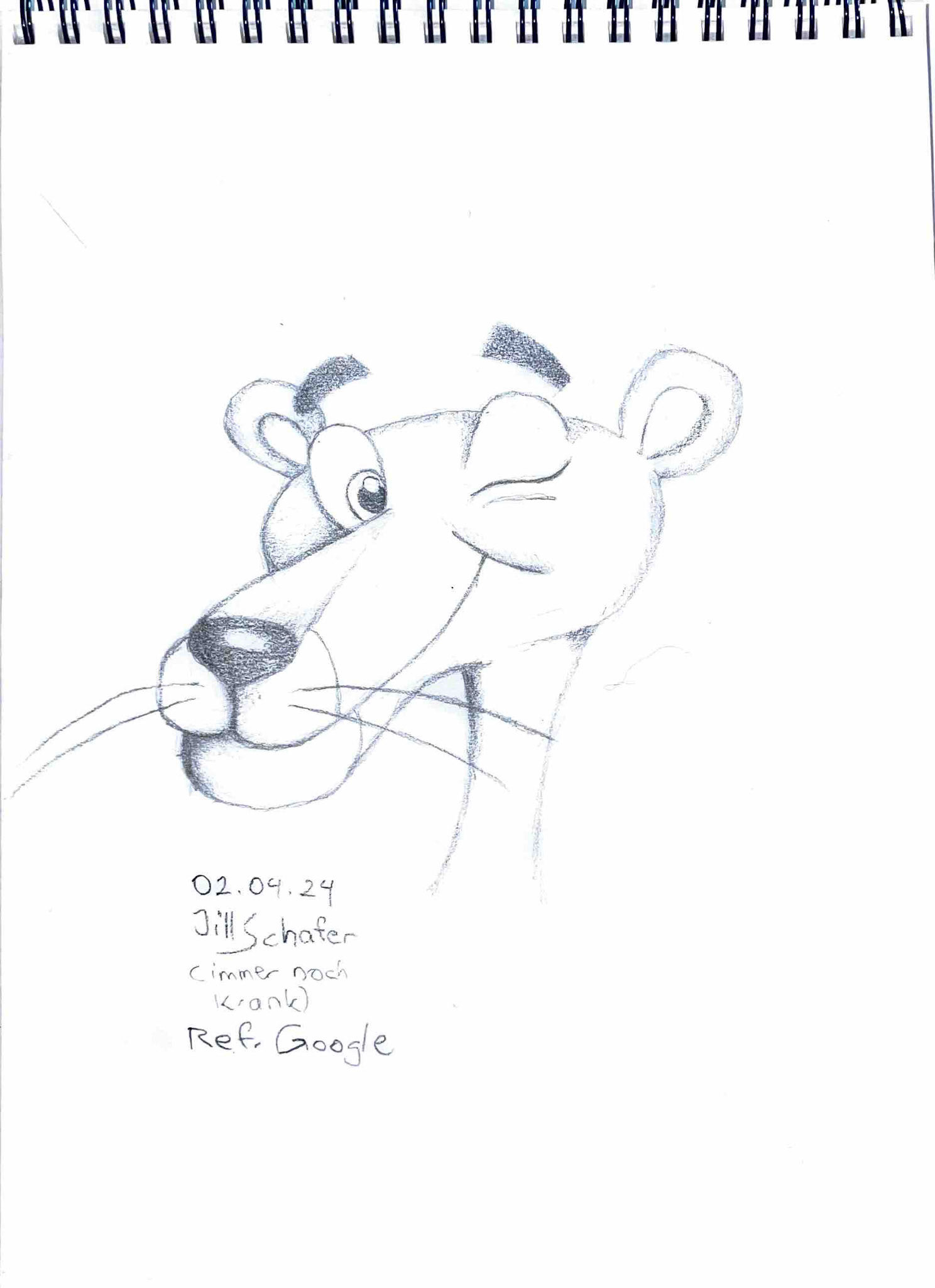 365 Zeichnungen - Drawing every day no matter what