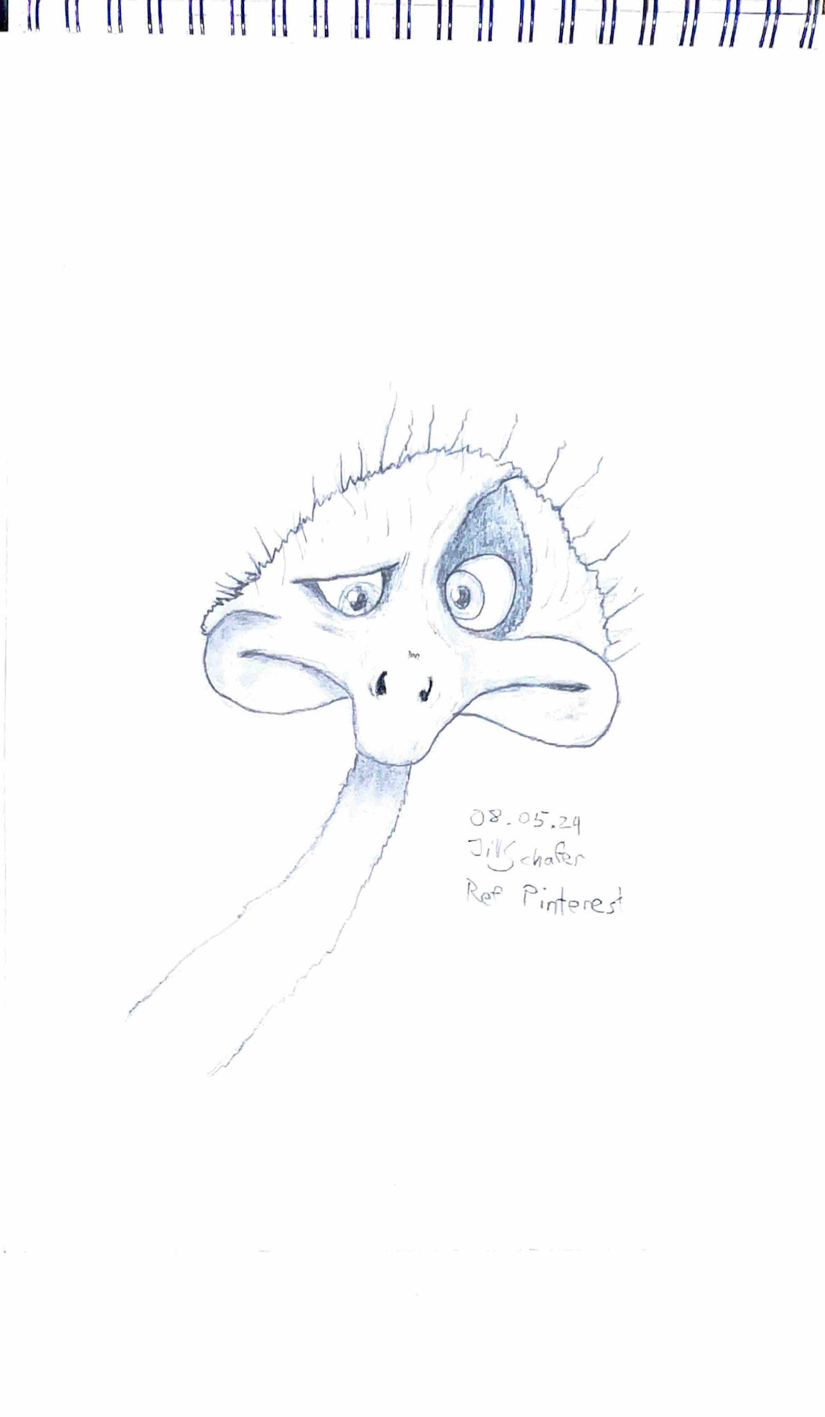 365 Zeichnungen - Drawing every day no matter what