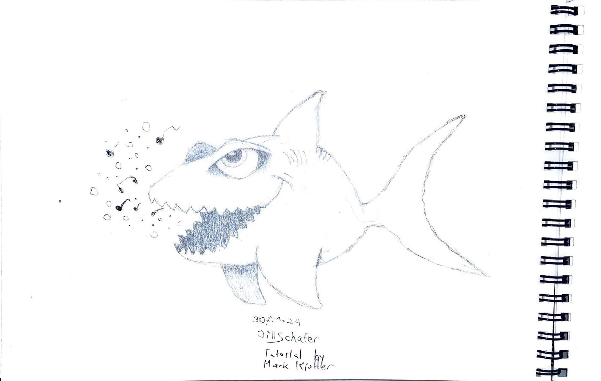 365 Zeichnungen - Drawing every day no matter what