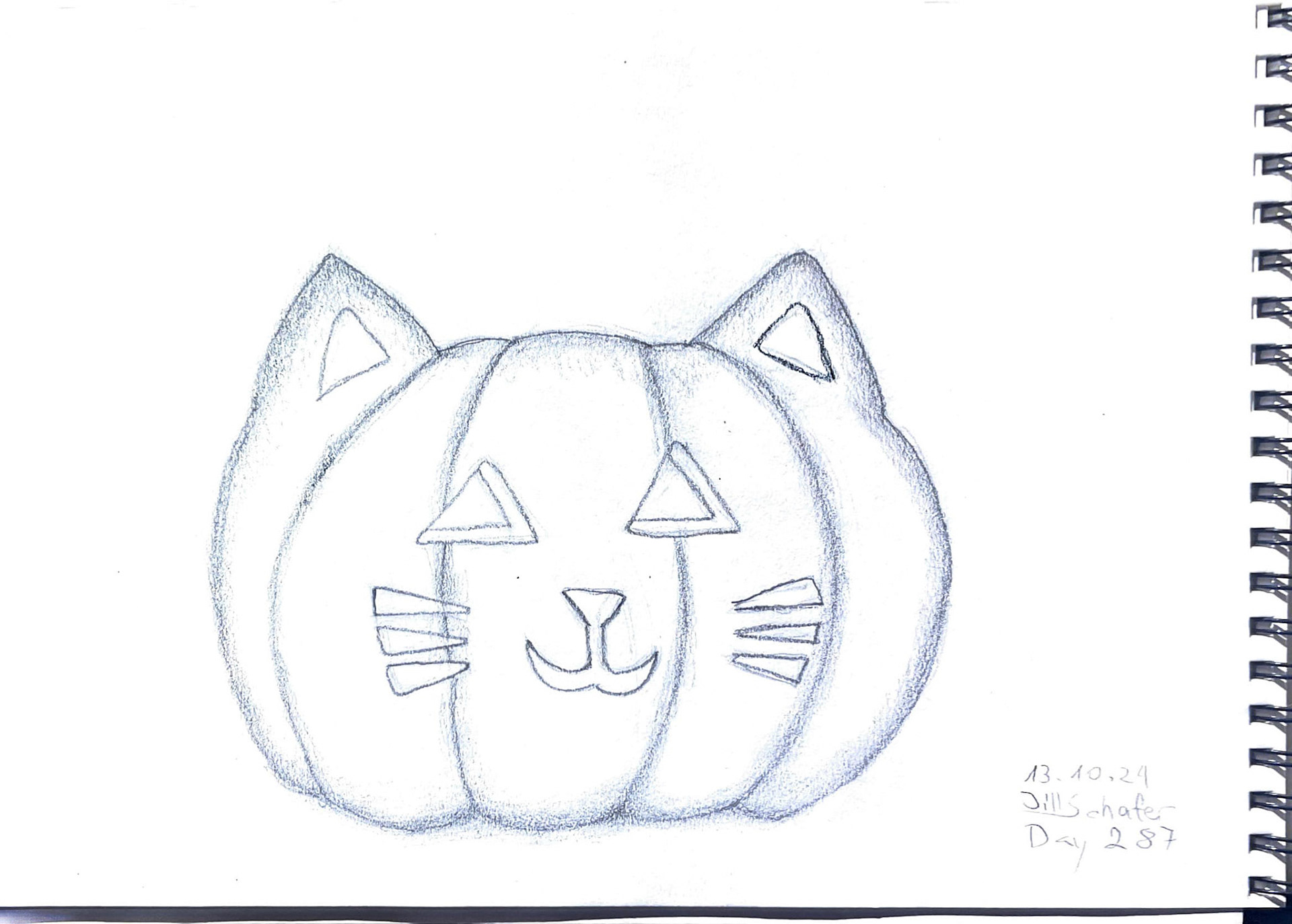 365 Zeichnungen - Drawing every day no matter what
