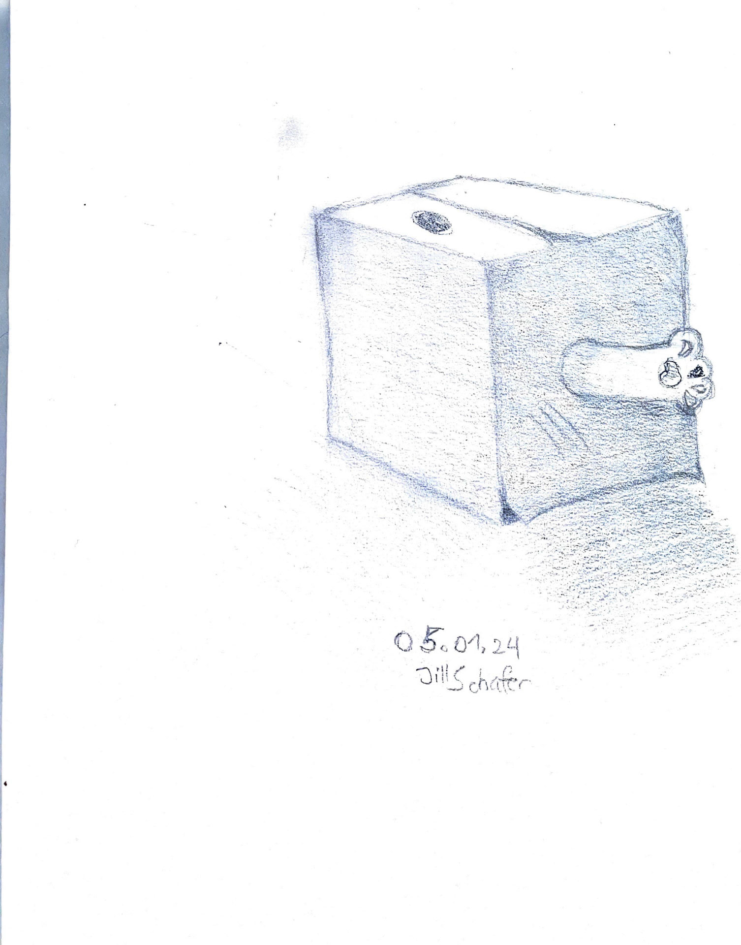 365 Zeichnungen - Drawing every day no matter what