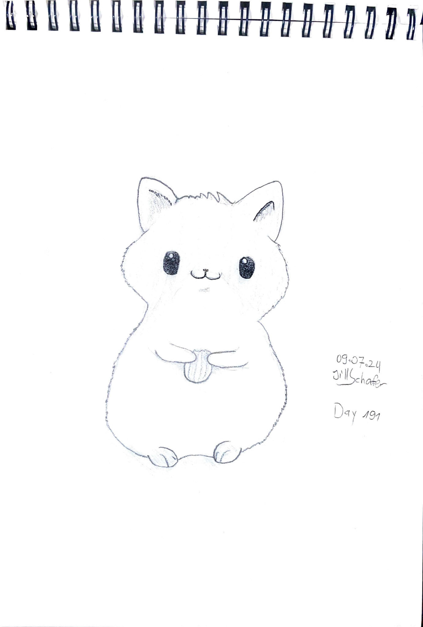 365 Zeichnungen - Drawing every day no matter what