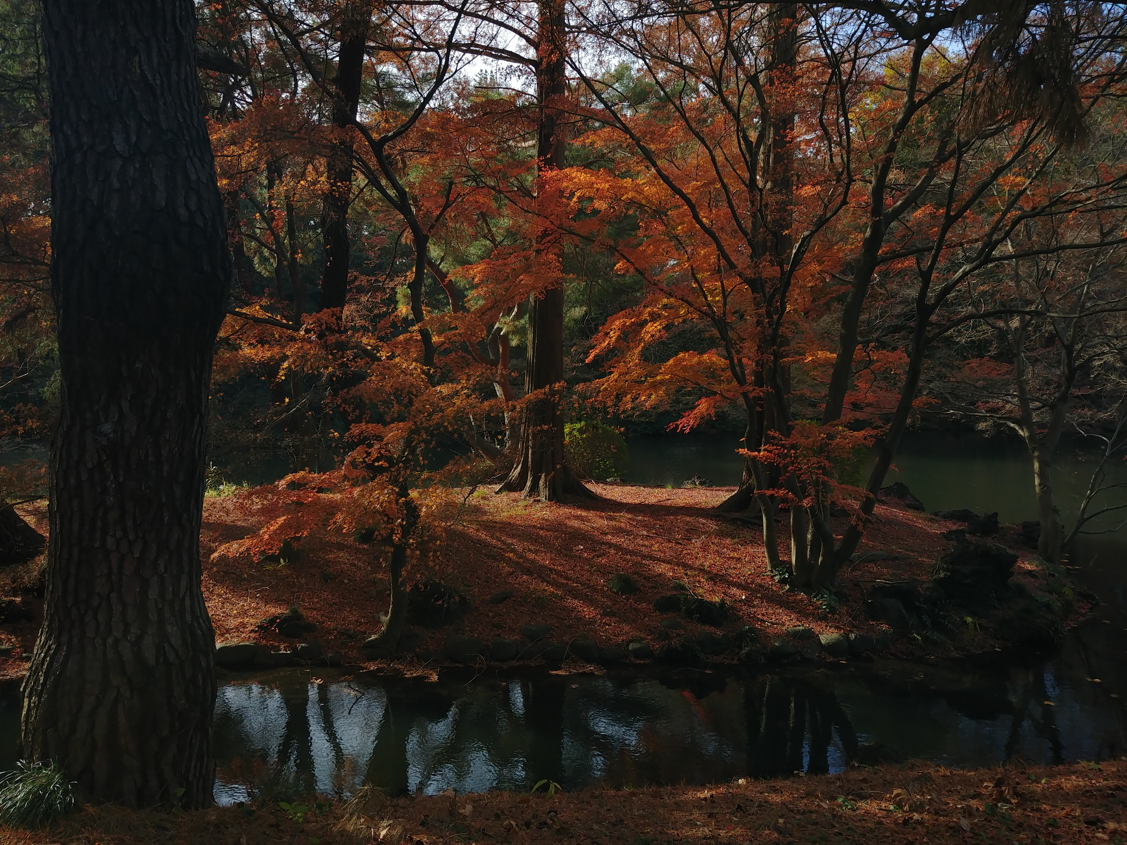 First strait, Tokyo