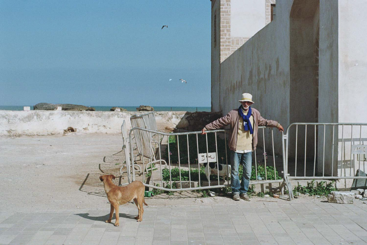 Essaouira, Morocco [analog]