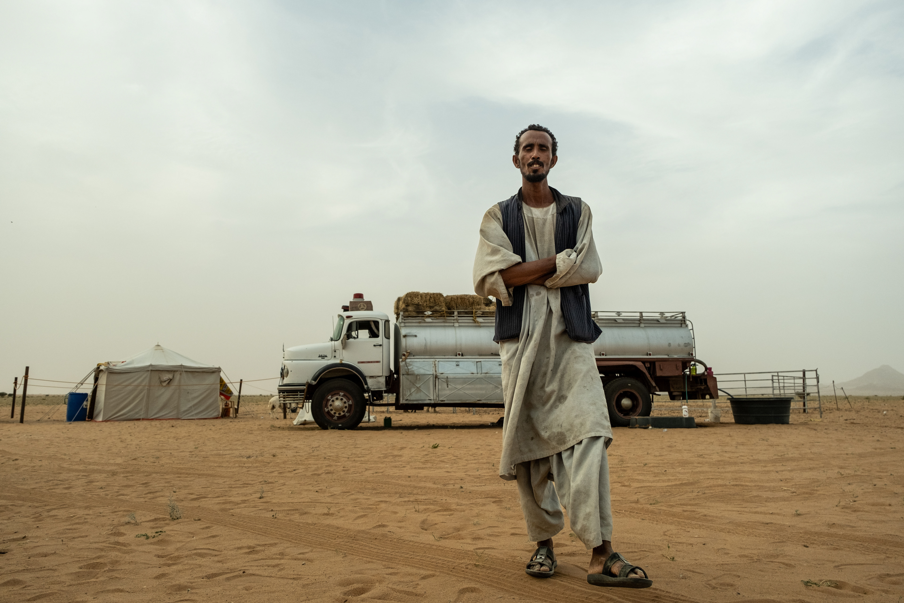 Sudanese taking care of camels in the desert of Saudi Arabia