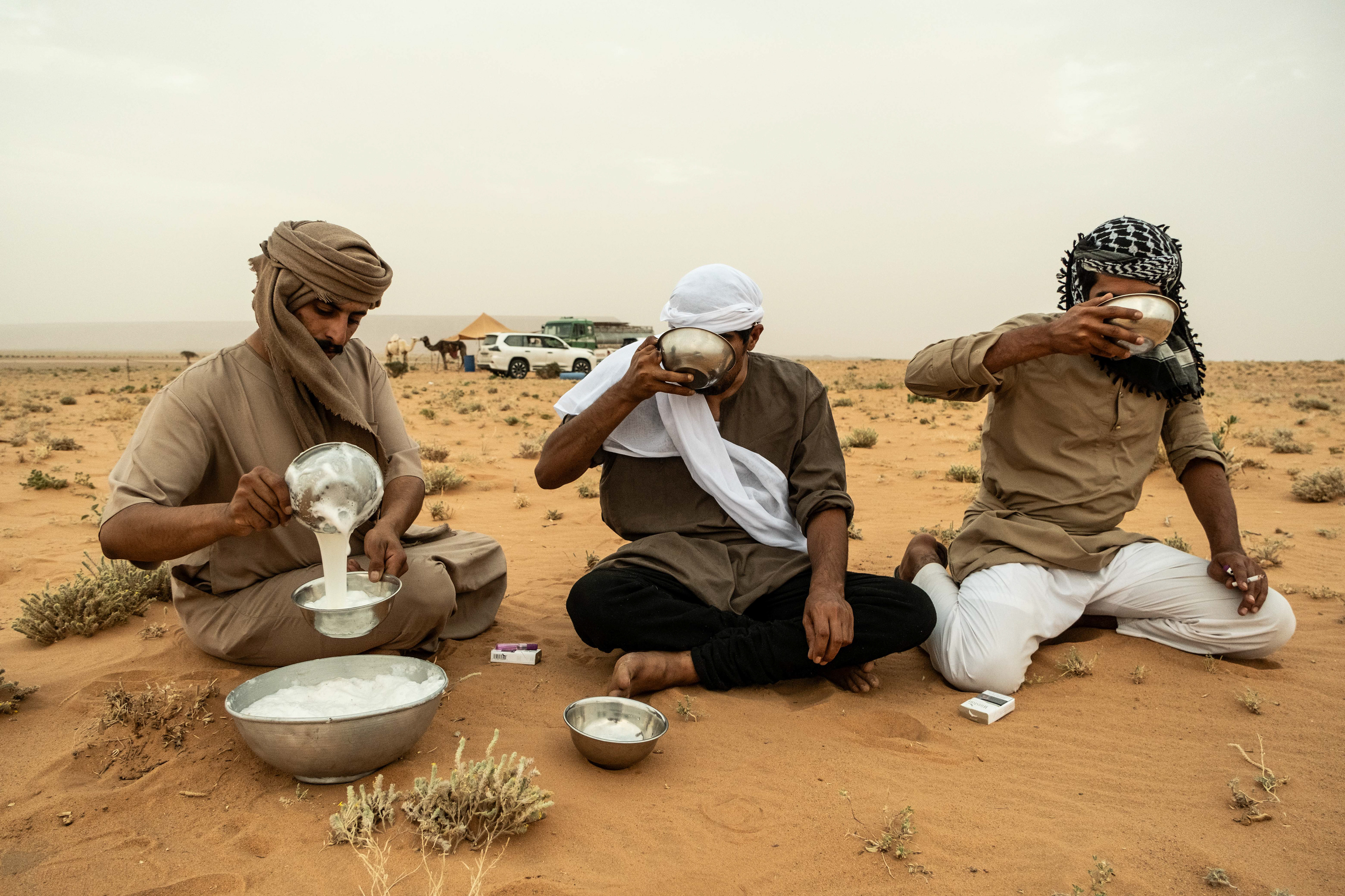 Bedu people drinking camel milk in Riyadh region, Saudi Arabia