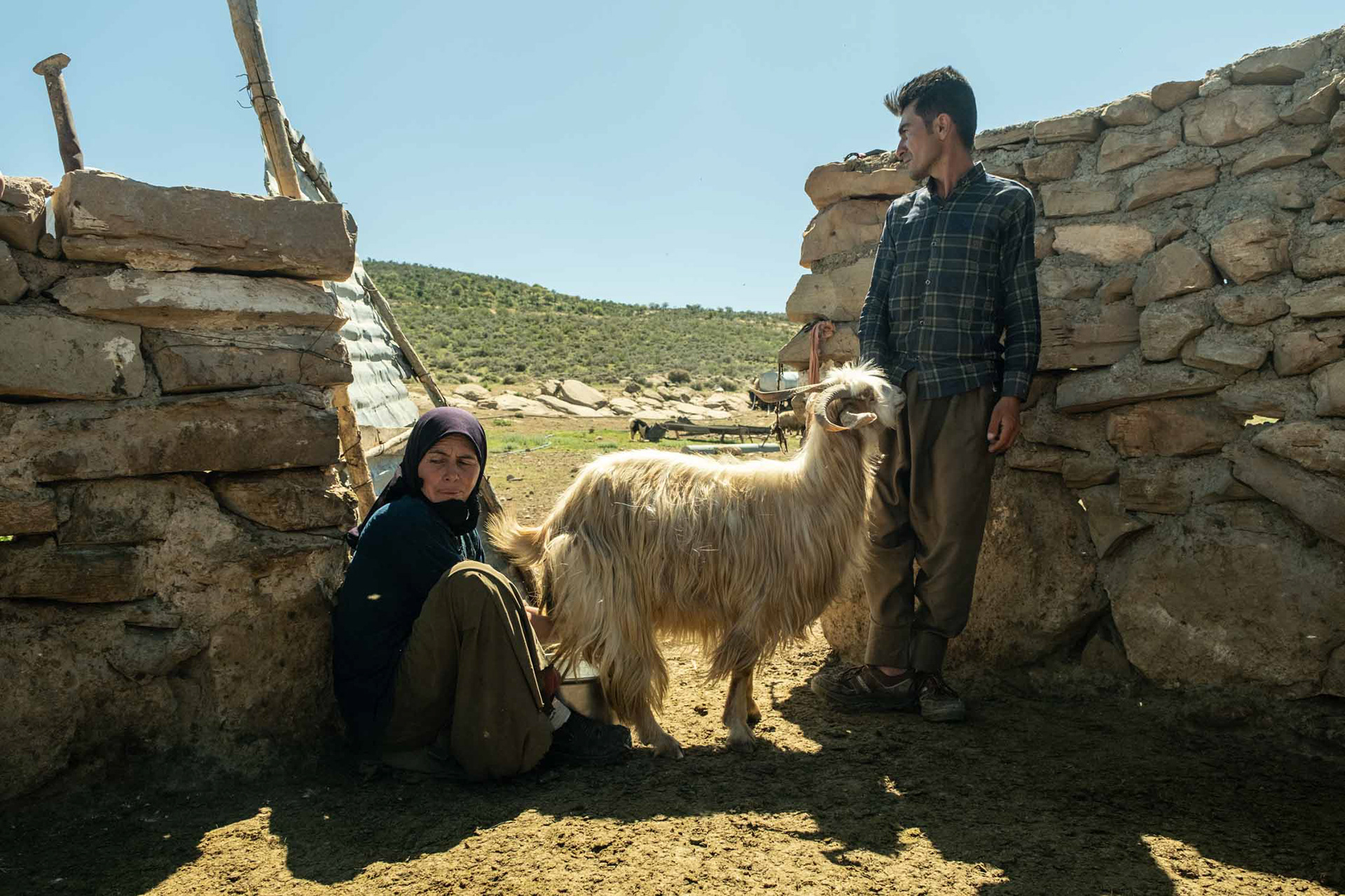Shiraz, Iran