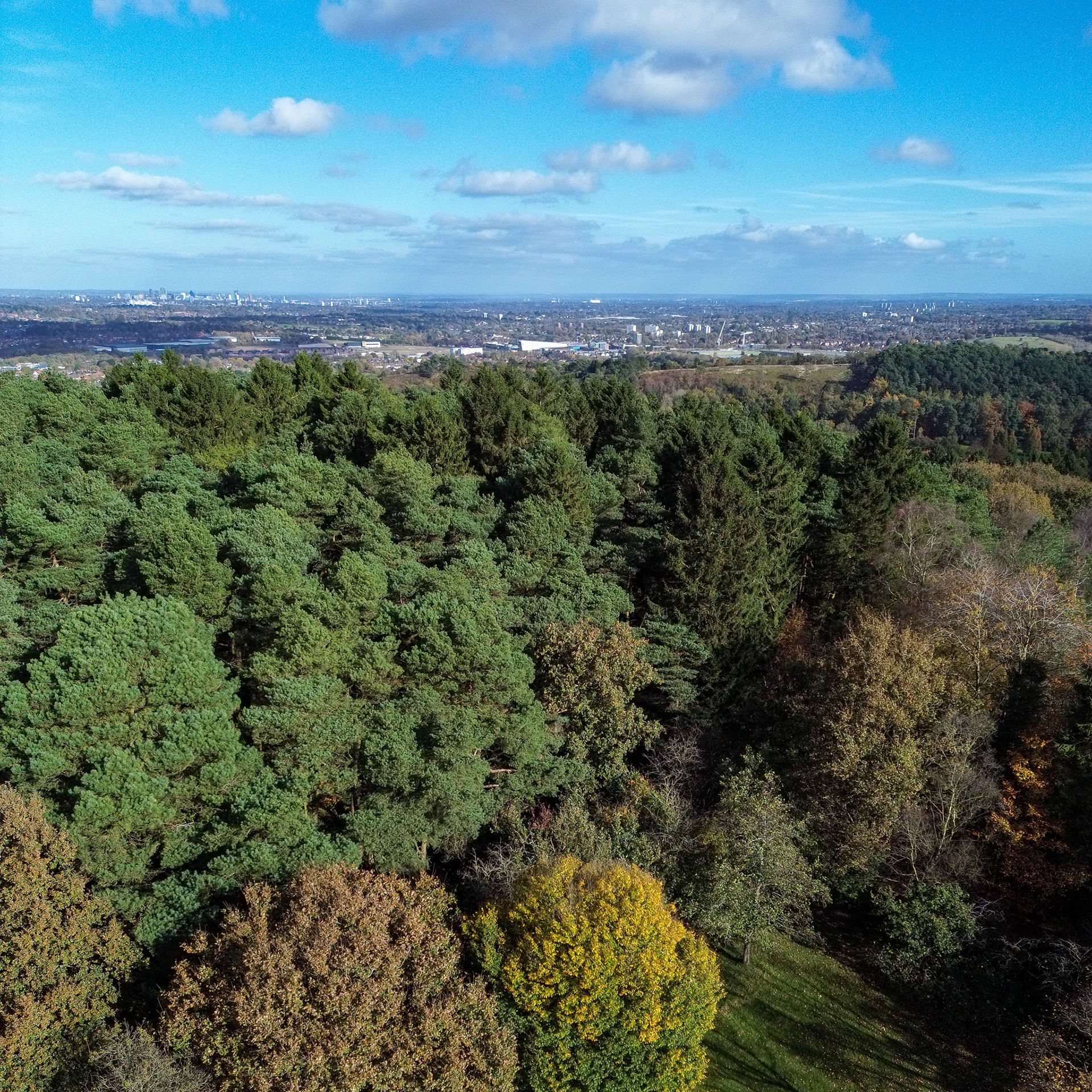 Monument Hill, Lickey