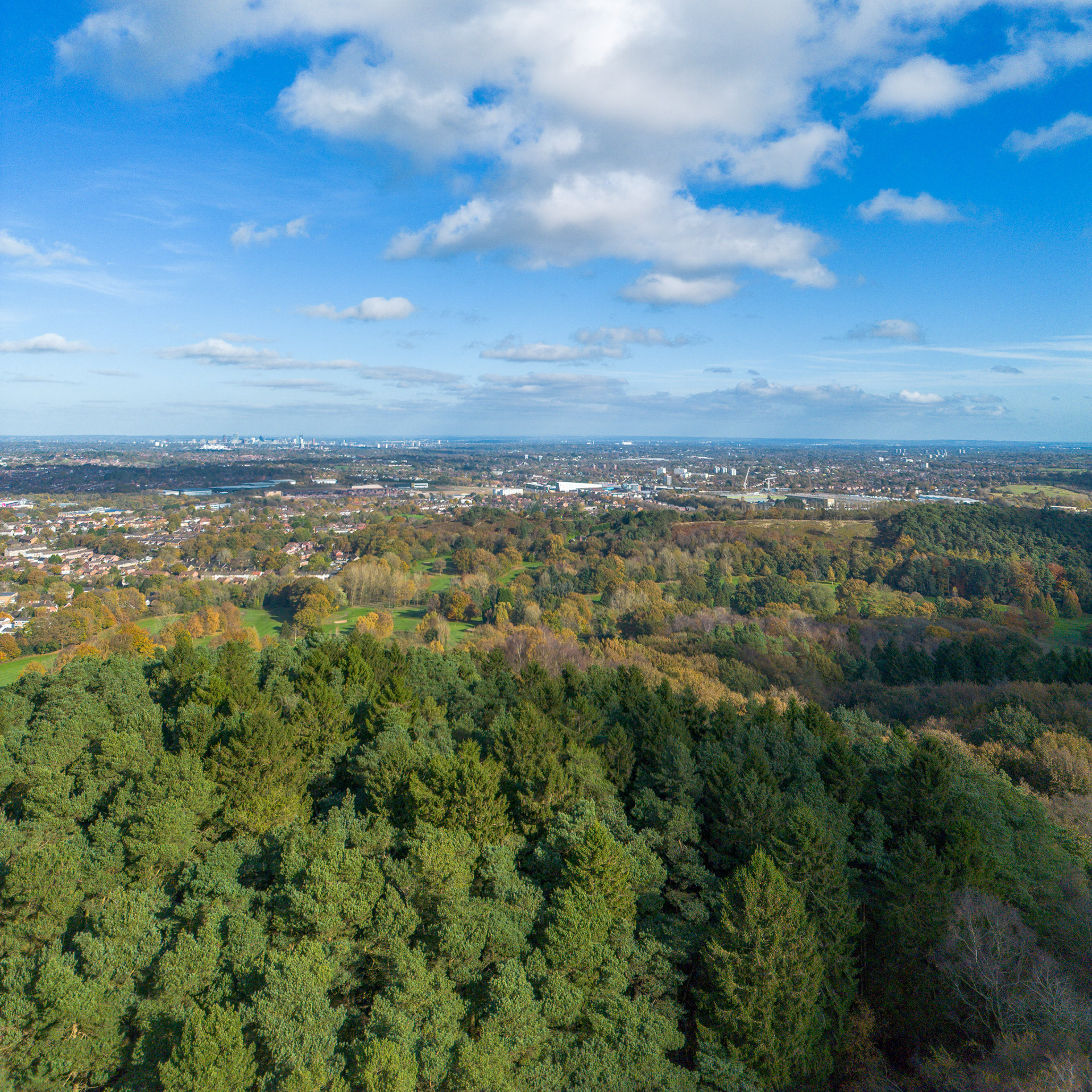 Monument Hill, Lickey