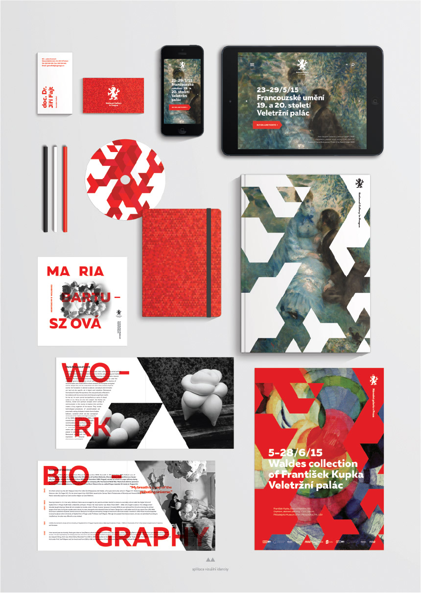 application visual identity