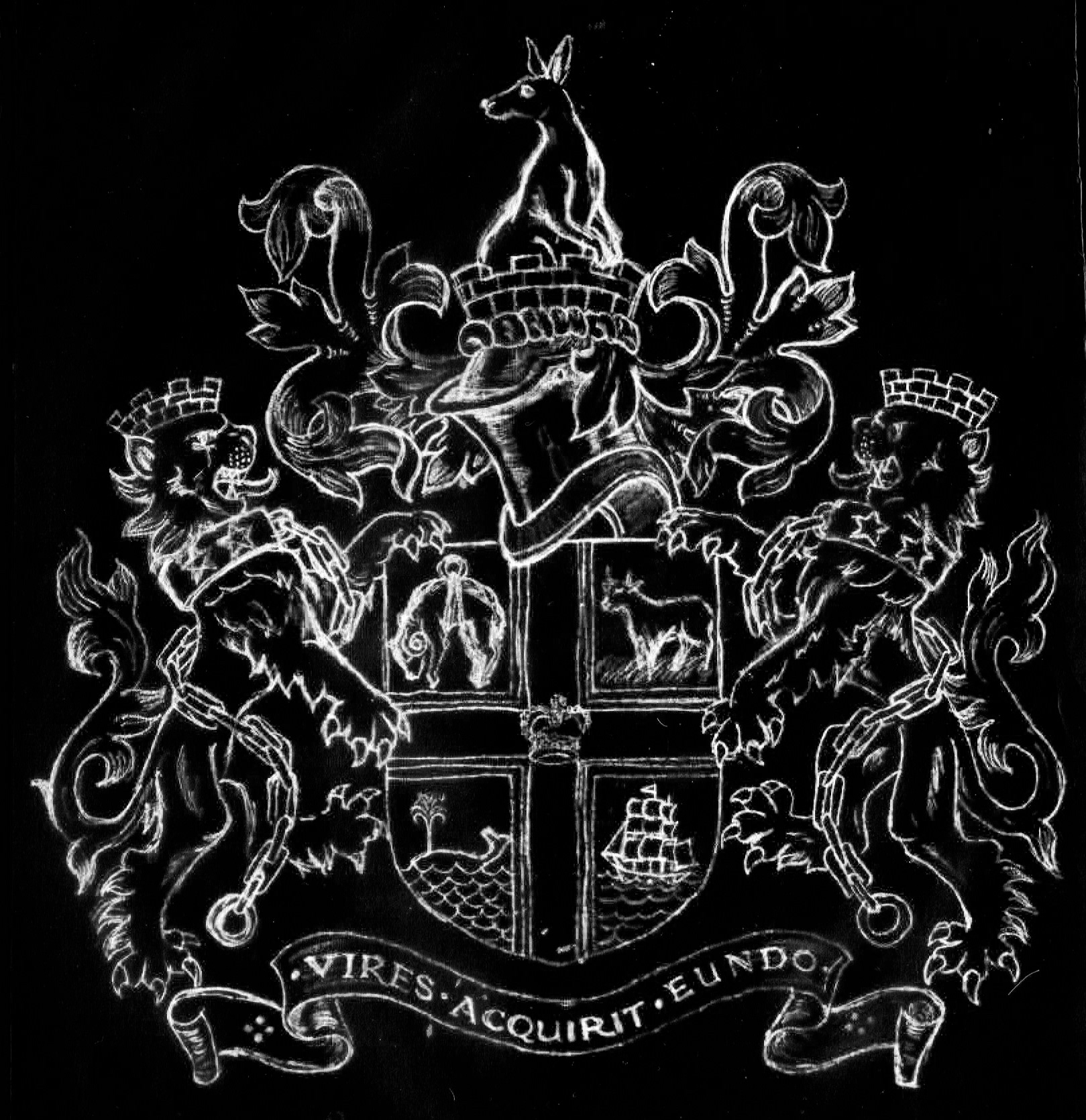 white coat of arms