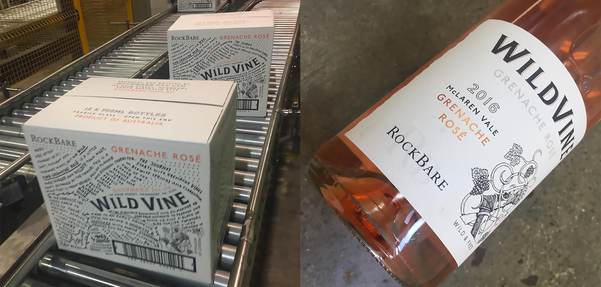 wild vine grenache rosé label mclaren vale rock bare pencil illustration carton packaging graphic design