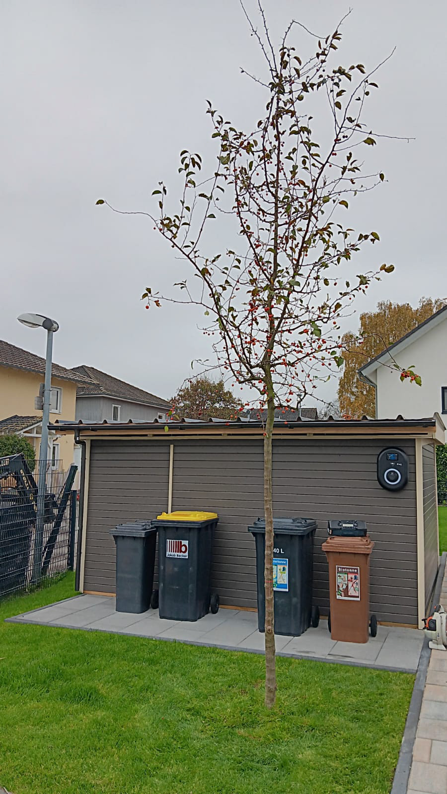 Rasen und Mülltonnenplatz