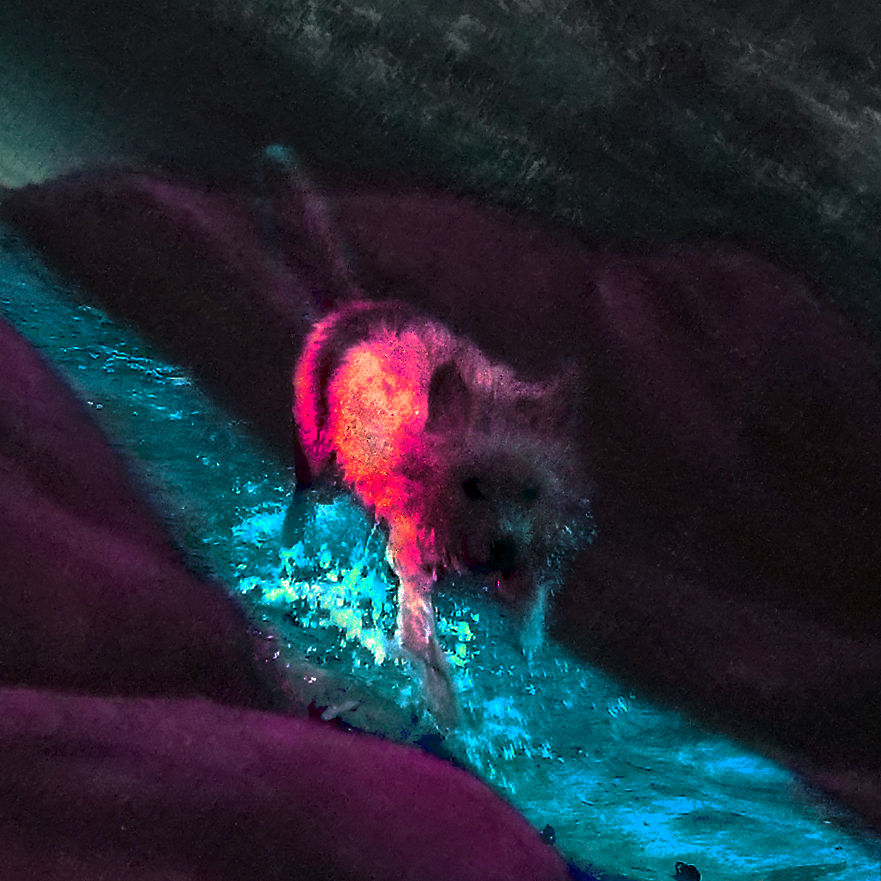 splashing in a river fervently