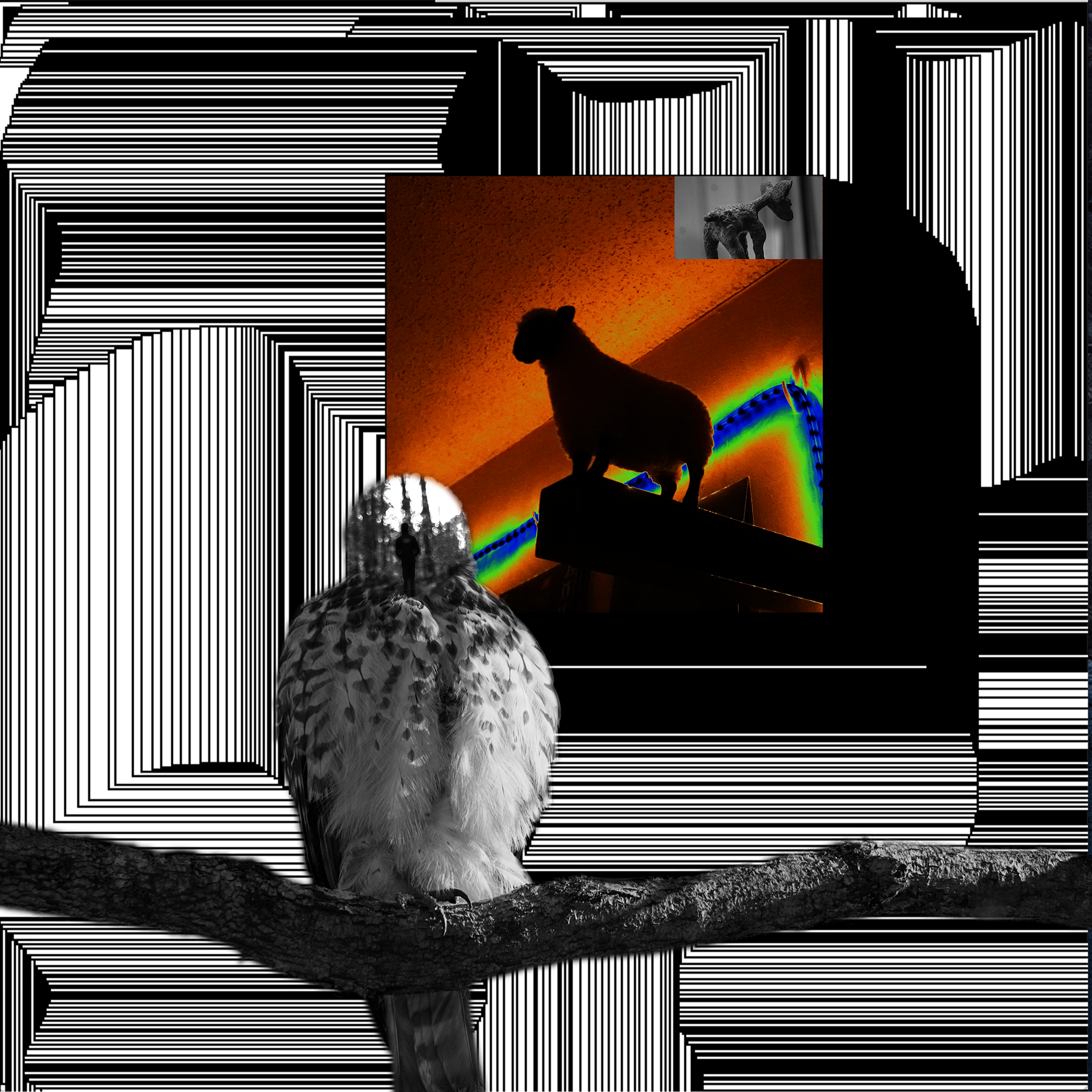 animals watching over you