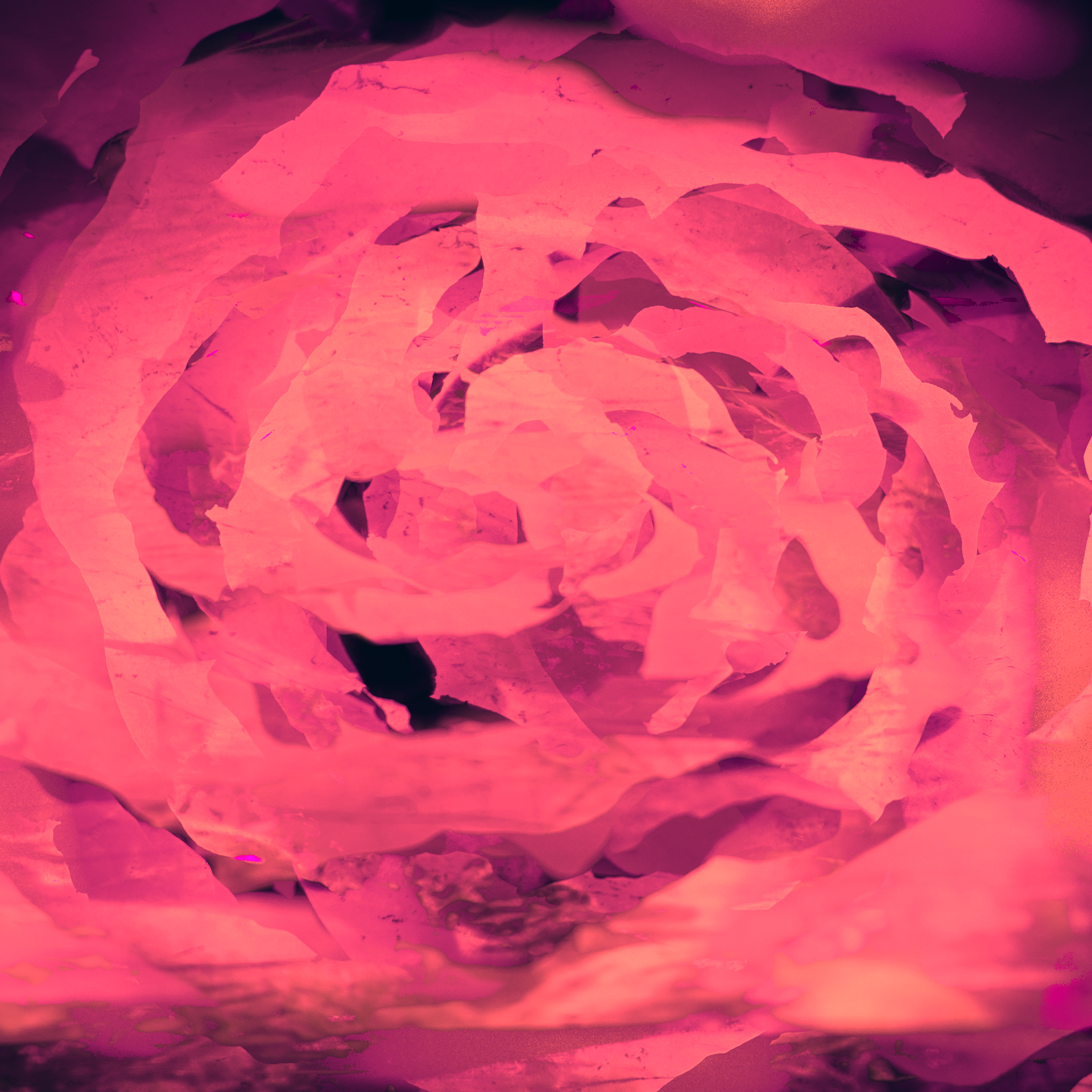 origin of life