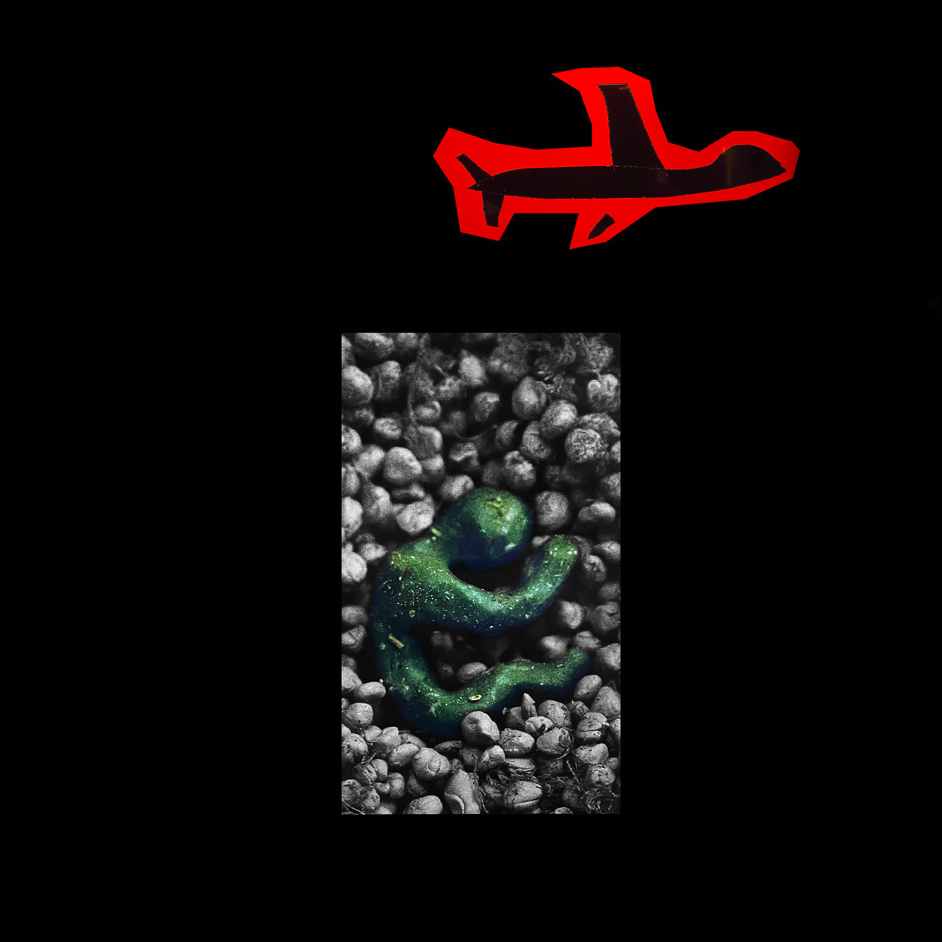*Shells