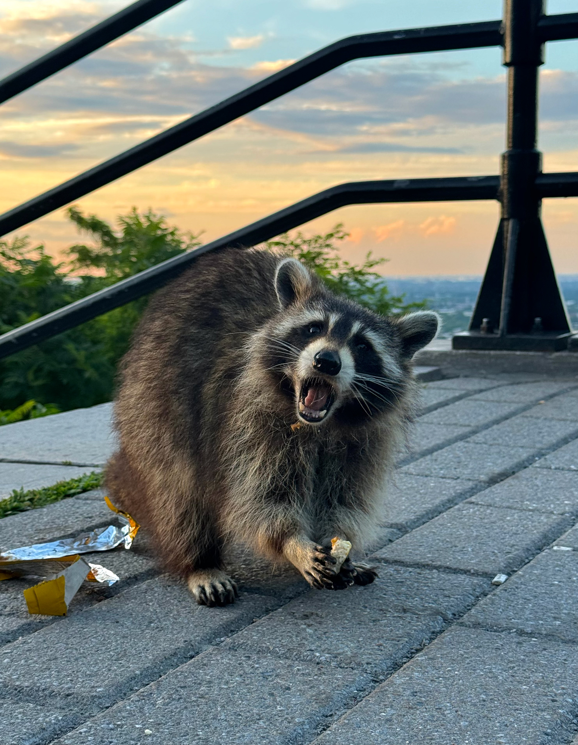 Montreal