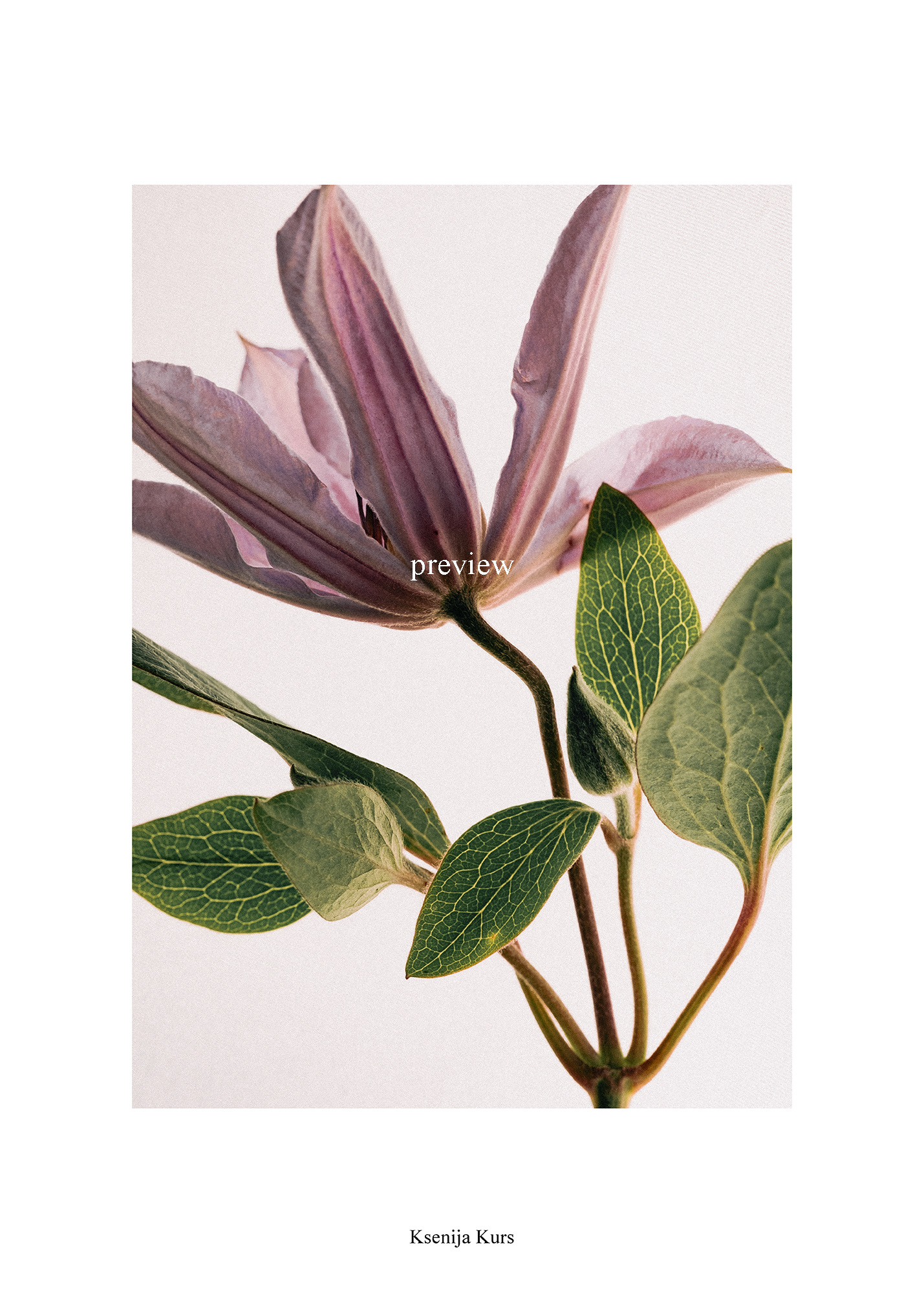 FLOWER 1