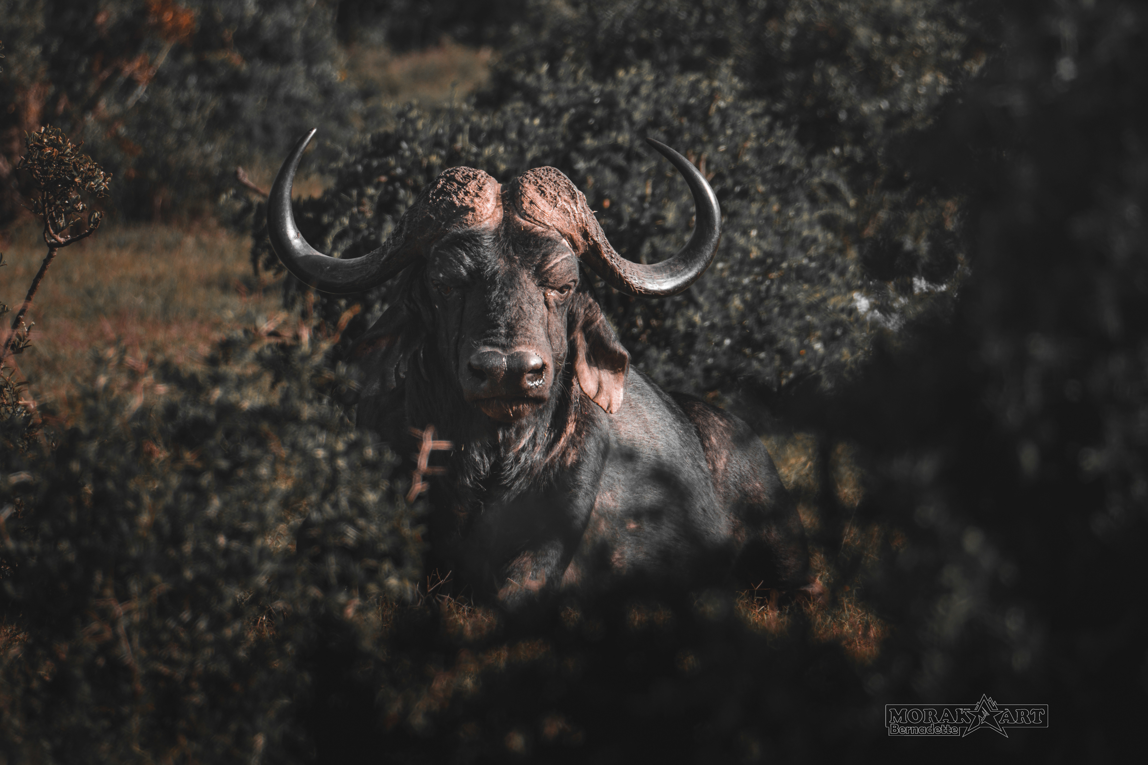 Südafrika 02/25