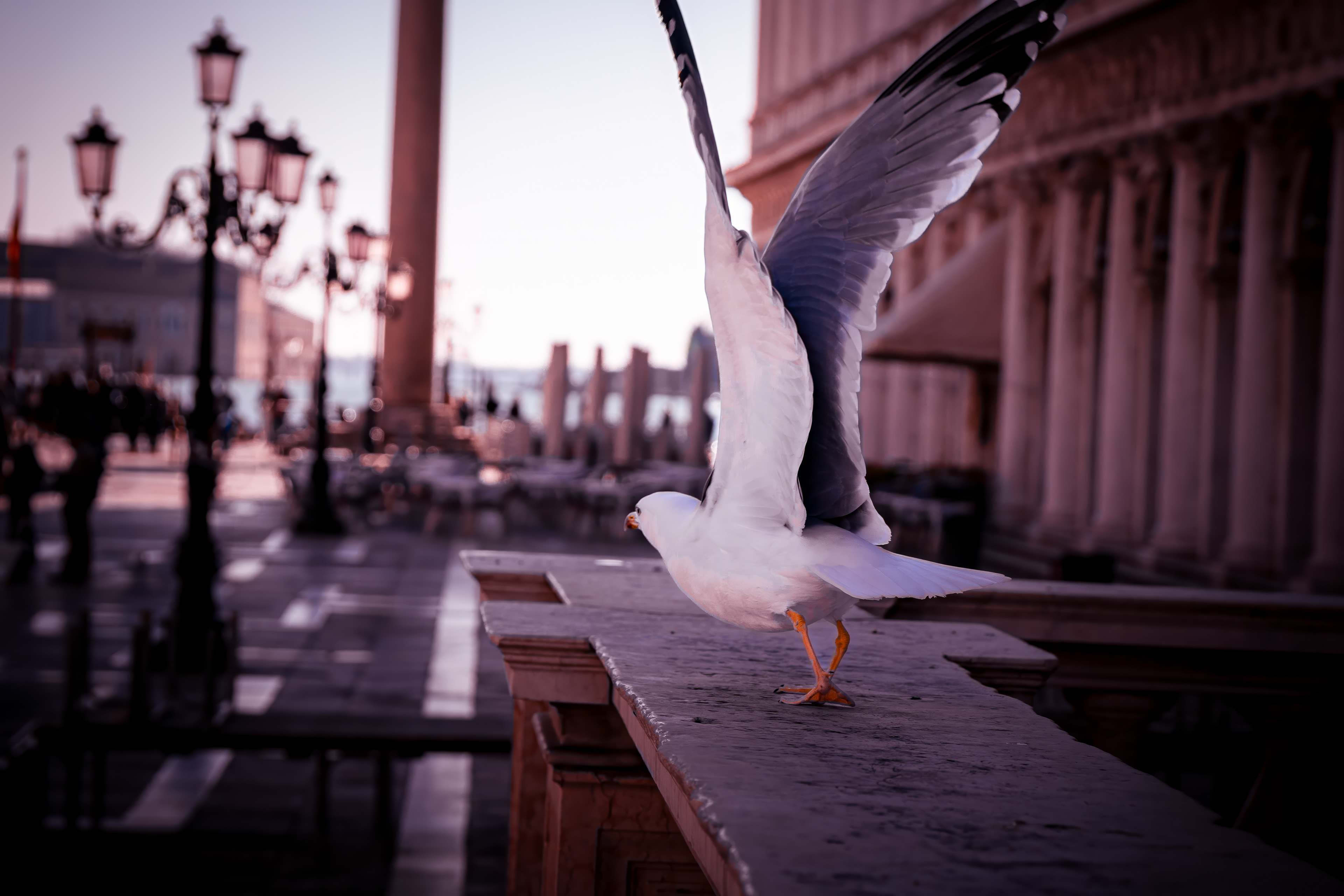 Venedig