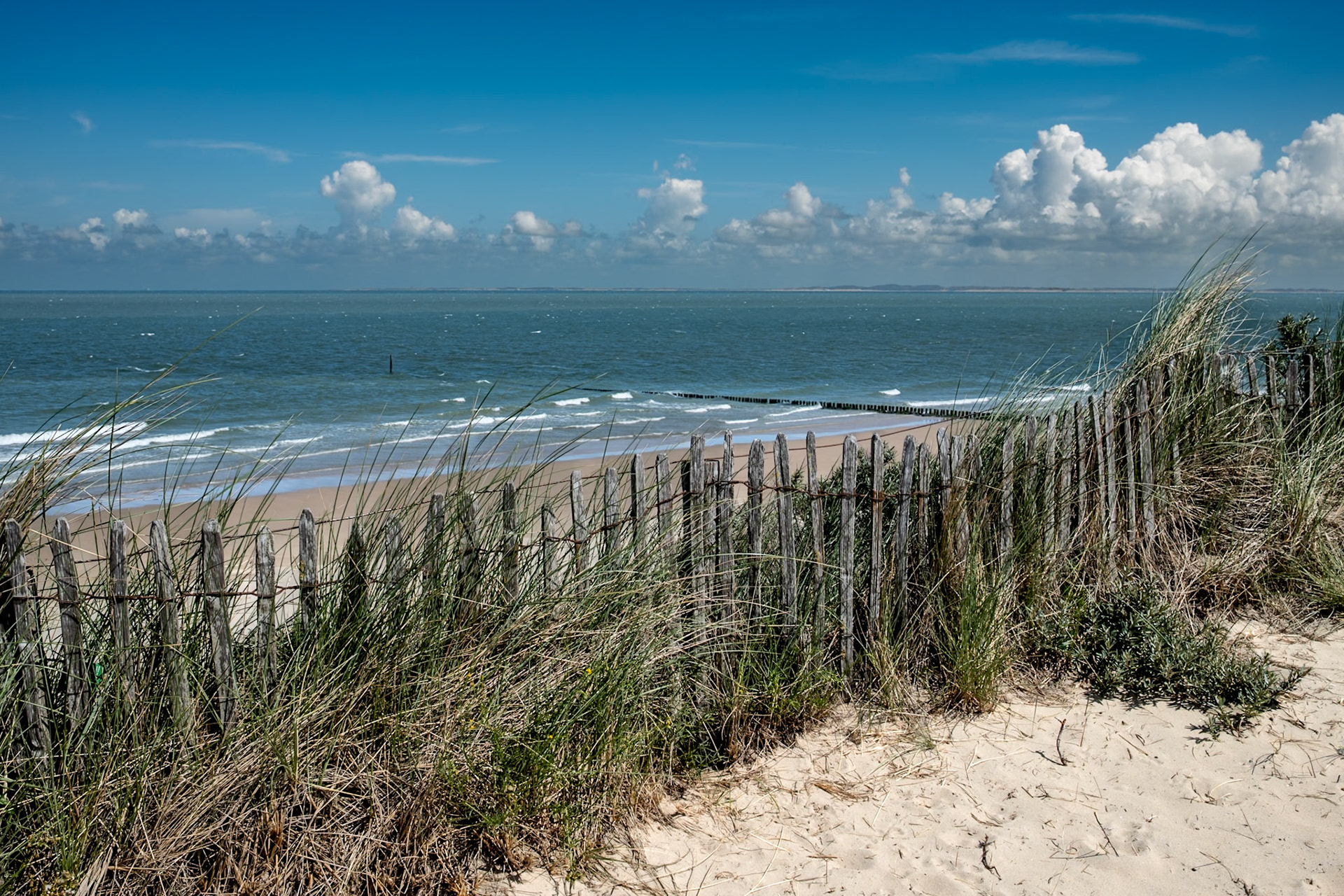 North Sea coast, Cadzand-Bad (Zeeland, Netherlands) (during the ‘North Sea Crossing 2026’ trip, NL-BE-FR-GB, June 2026)