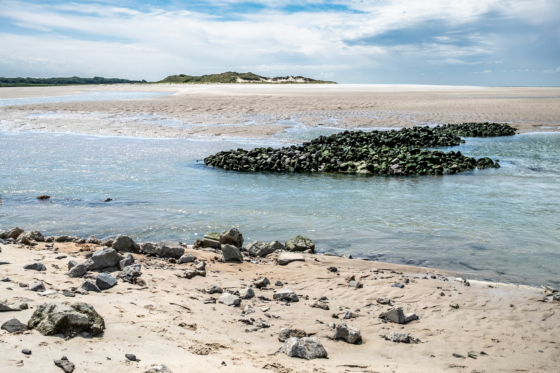 'Het Zwin' Nature Reserve, Cadzand-Bad, Netherlands (North Sea Coastal Path nr. 26, during the North Sea Crossing trip NL-BE-GB, Aug. 2025)