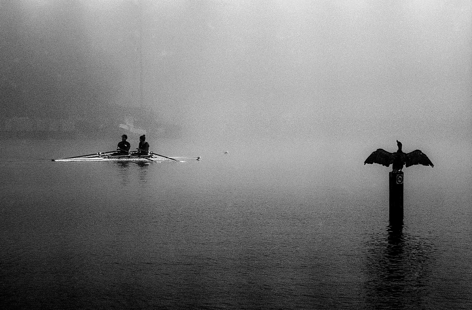 Rowboat and cormorant, Amstel river, Amsterdam, 2017