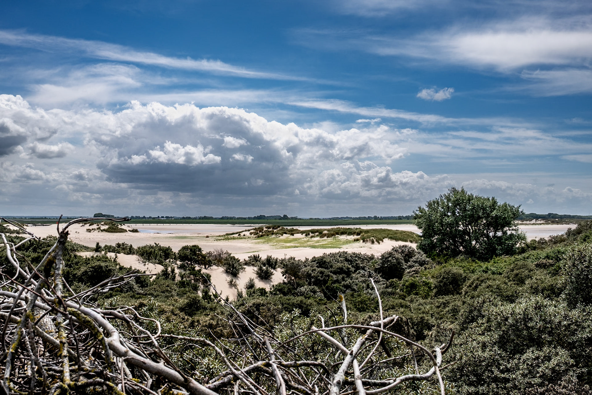 'Het Zwin' Nature Reserve, Cadzand-Bad, Netherlands (North Sea Coastal Path nr. 26, during the North Sea Crossing trip NL-BE-GB, Aug. 2025)