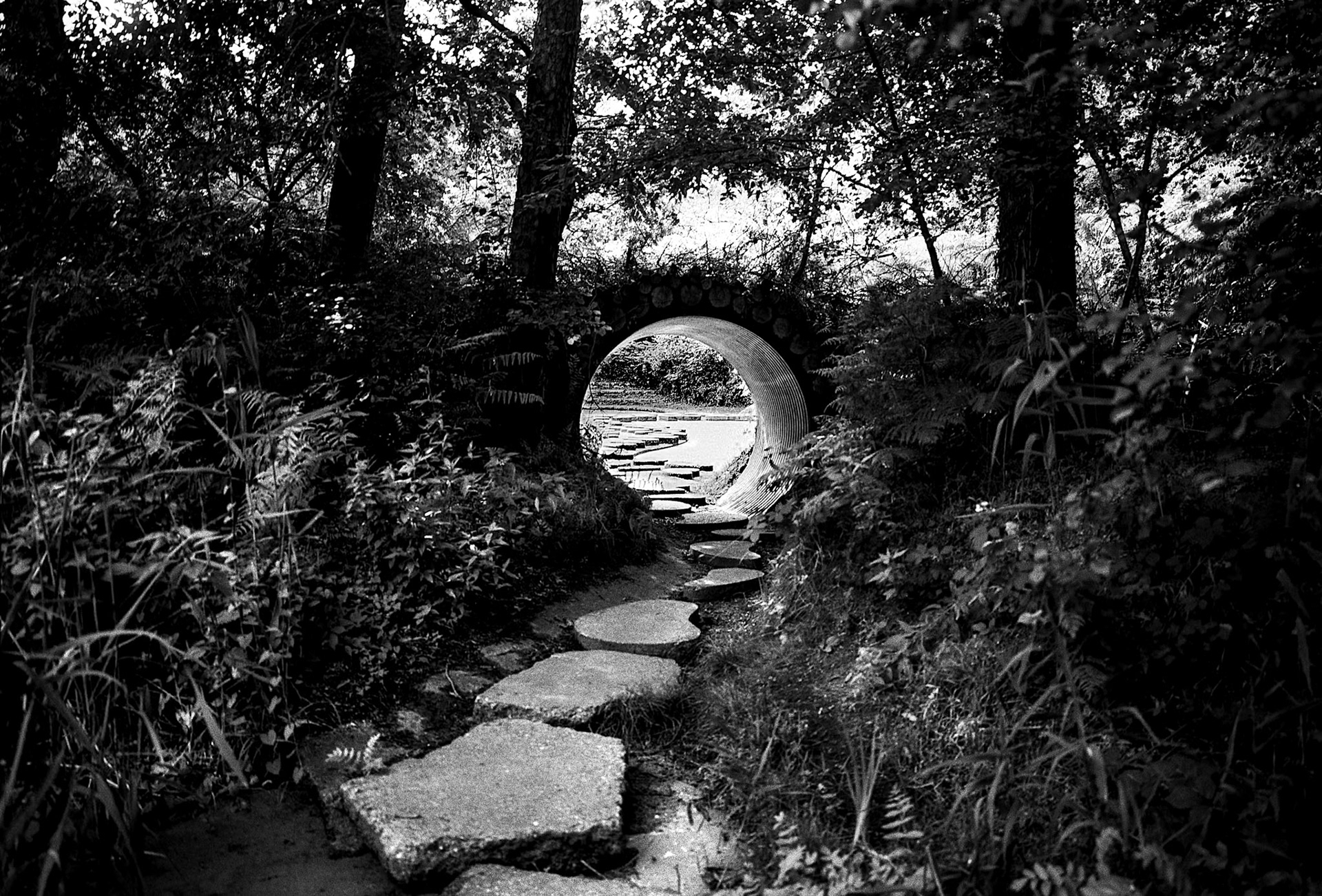 KidneyPools (by landscape artist Jim Buchanan), Waterpark ‘Het Lankheet’, Haaksbergen, Netherlands, July 2022