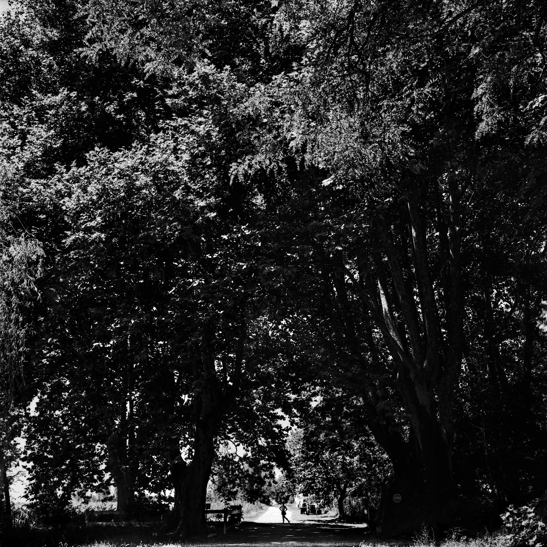 B., Grand Mas de Romieu, Villeneuve, Camargue, 1986