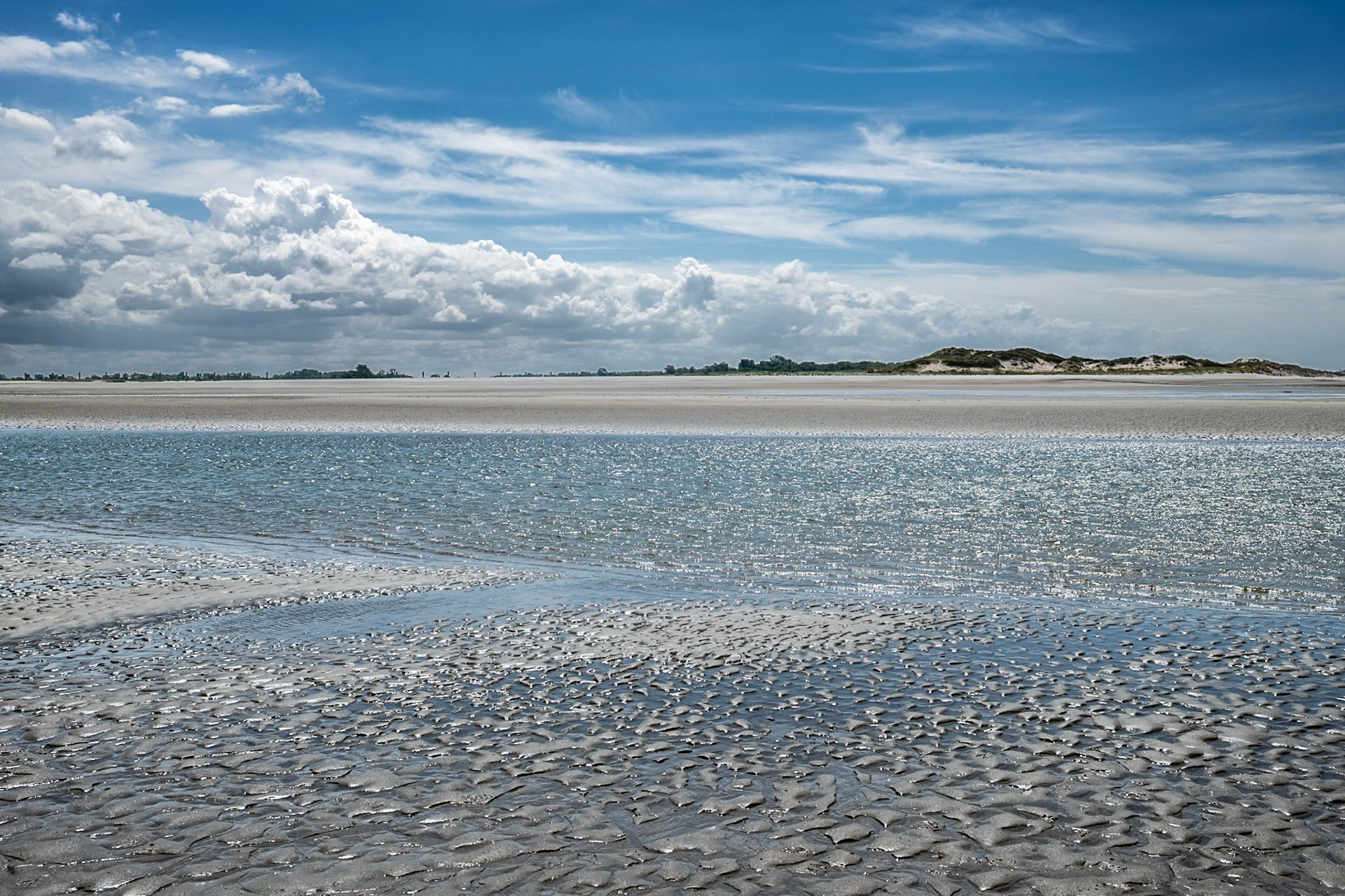 'Het Zwin' Nature Reserve, Cadzand-Bad, Netherlands (North Sea Coastal Path nr. 26, during the North Sea Crossing trip NL-BE-GB, Aug. 2025)