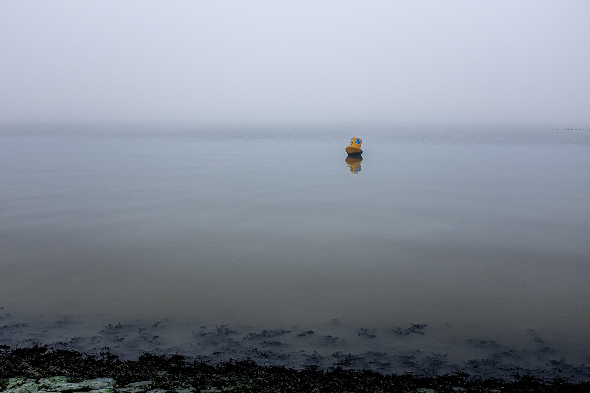 Buoy in the Wadden Sea, Harlingen, 18 January 2025