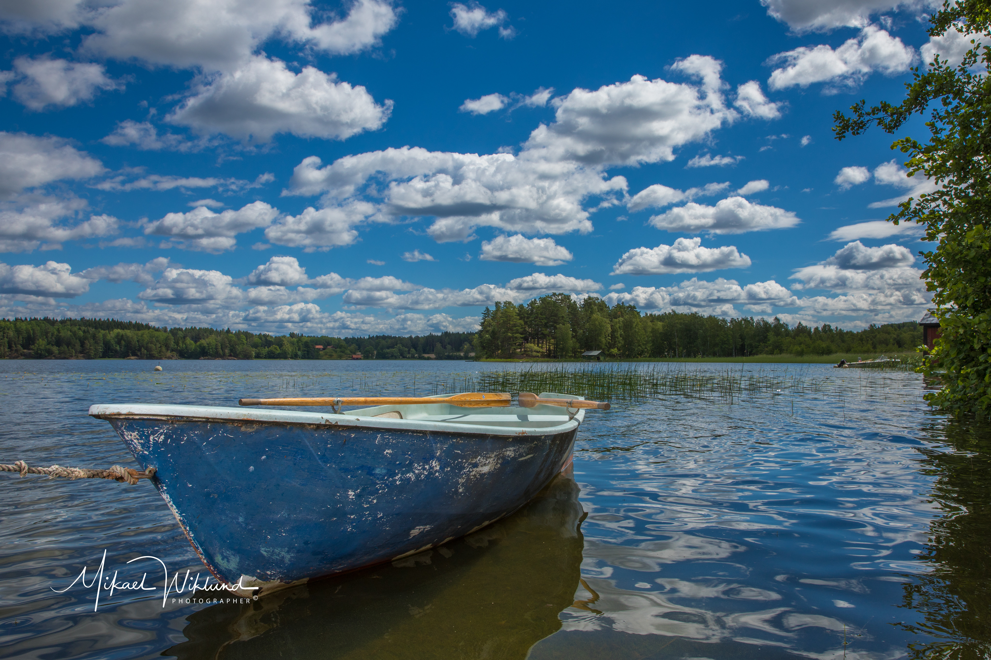 Canon 5D IV, Canon EF 24-70 II -  1/200, f/16, ISO 100, 24mm - 2x Elinchrom ELB 500