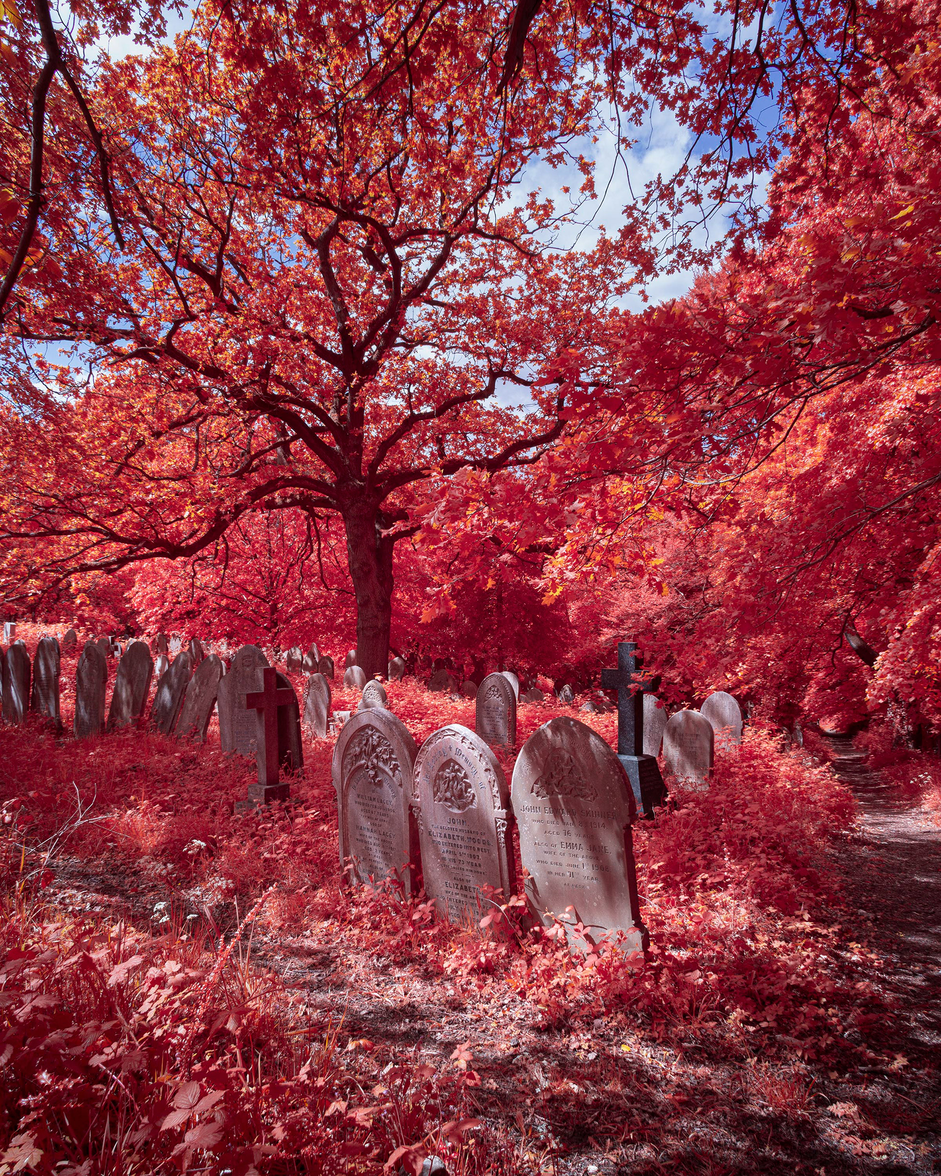 Rosary Cemetery, Norwich.