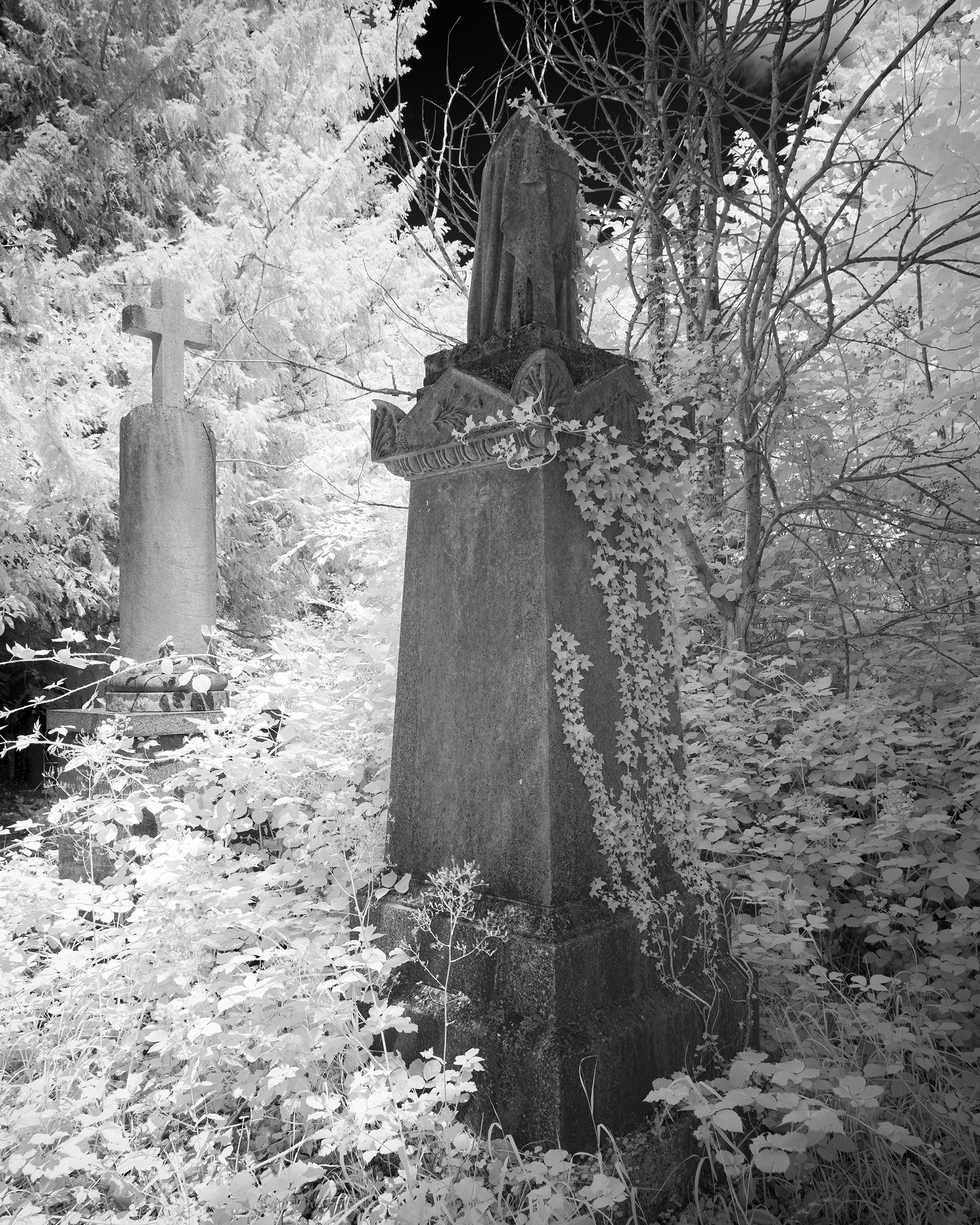 Rosary Cemetery, Norwich.