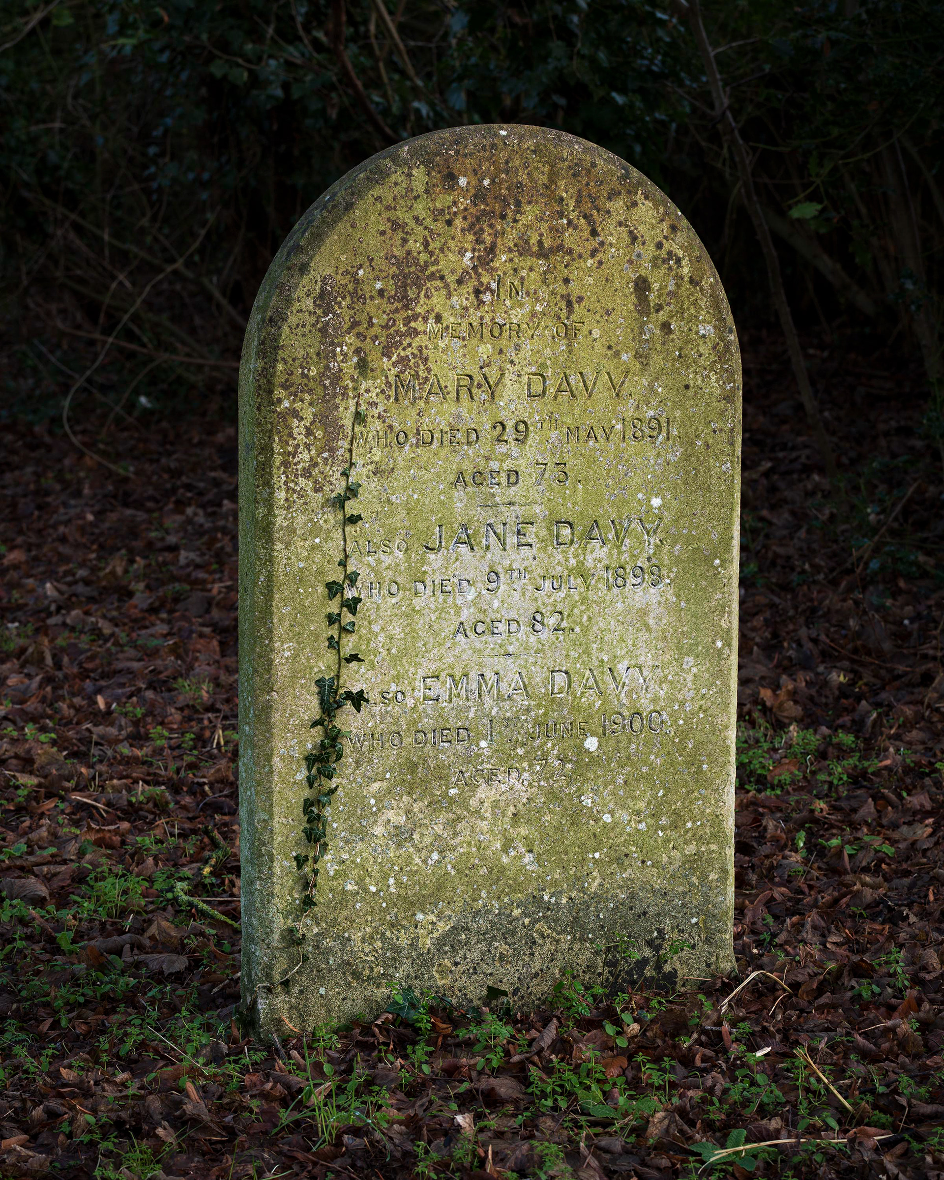 Earlham Cemetery, Norwich.
