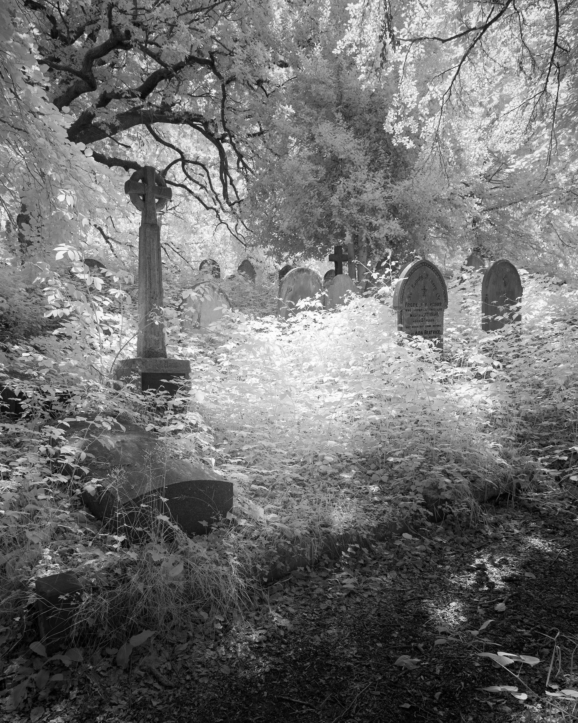 Rosary Cemetery, Norwich.