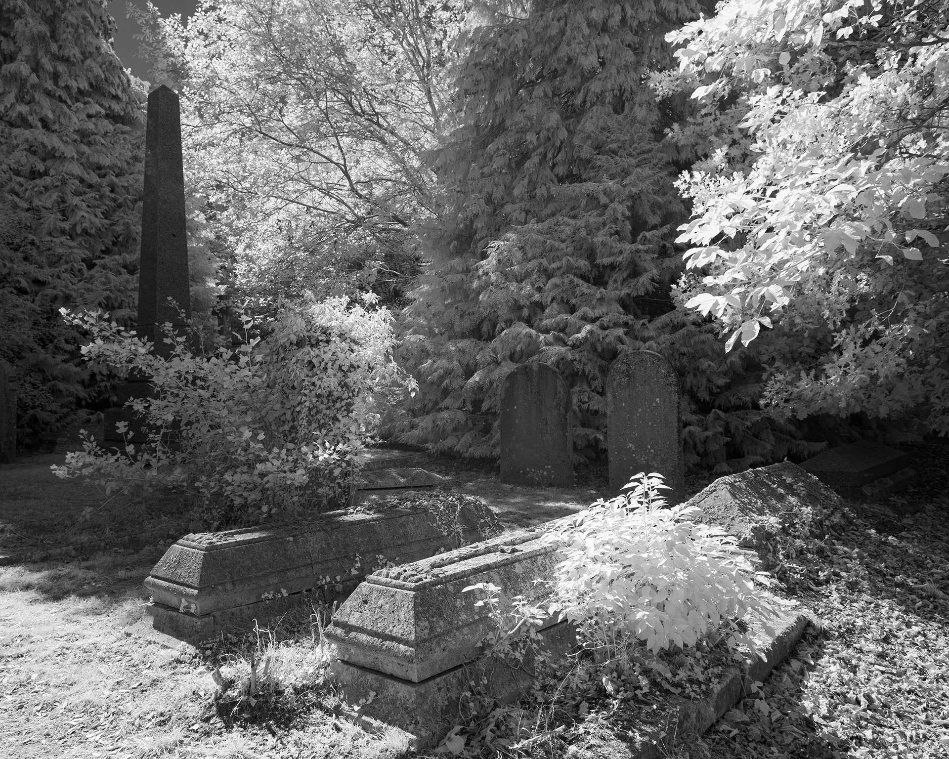 Earlham Cemetery, Norwich.