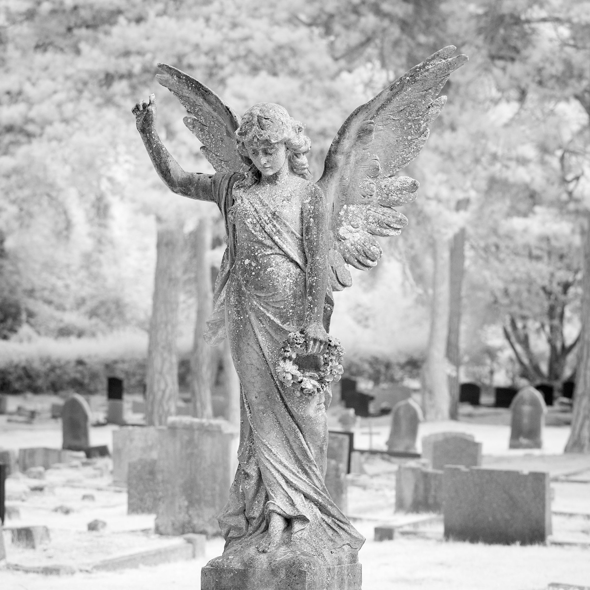 Wymondham Cemetery.