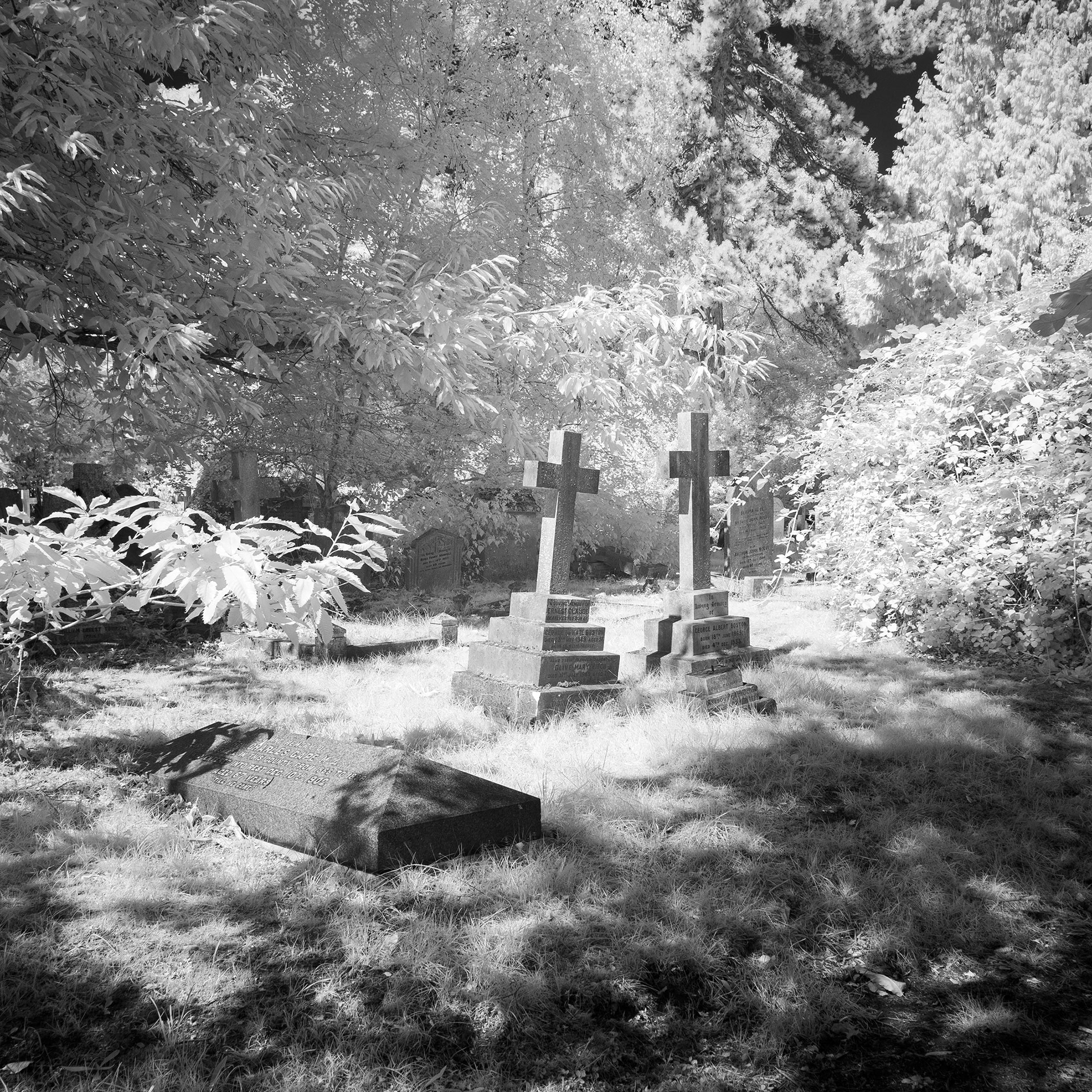 Rosary Cemetery, Norwich.