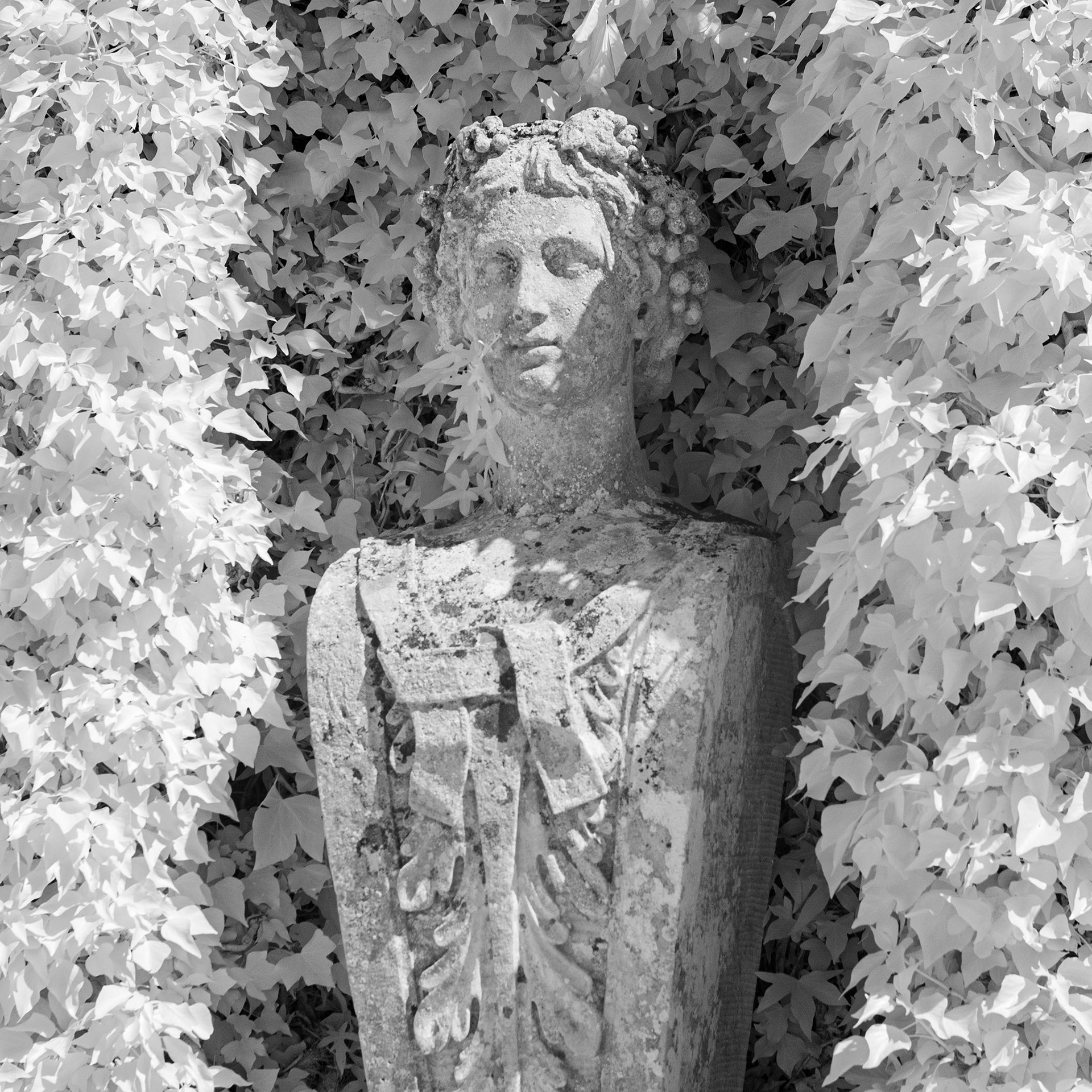 Blickling Hall Gardens.
