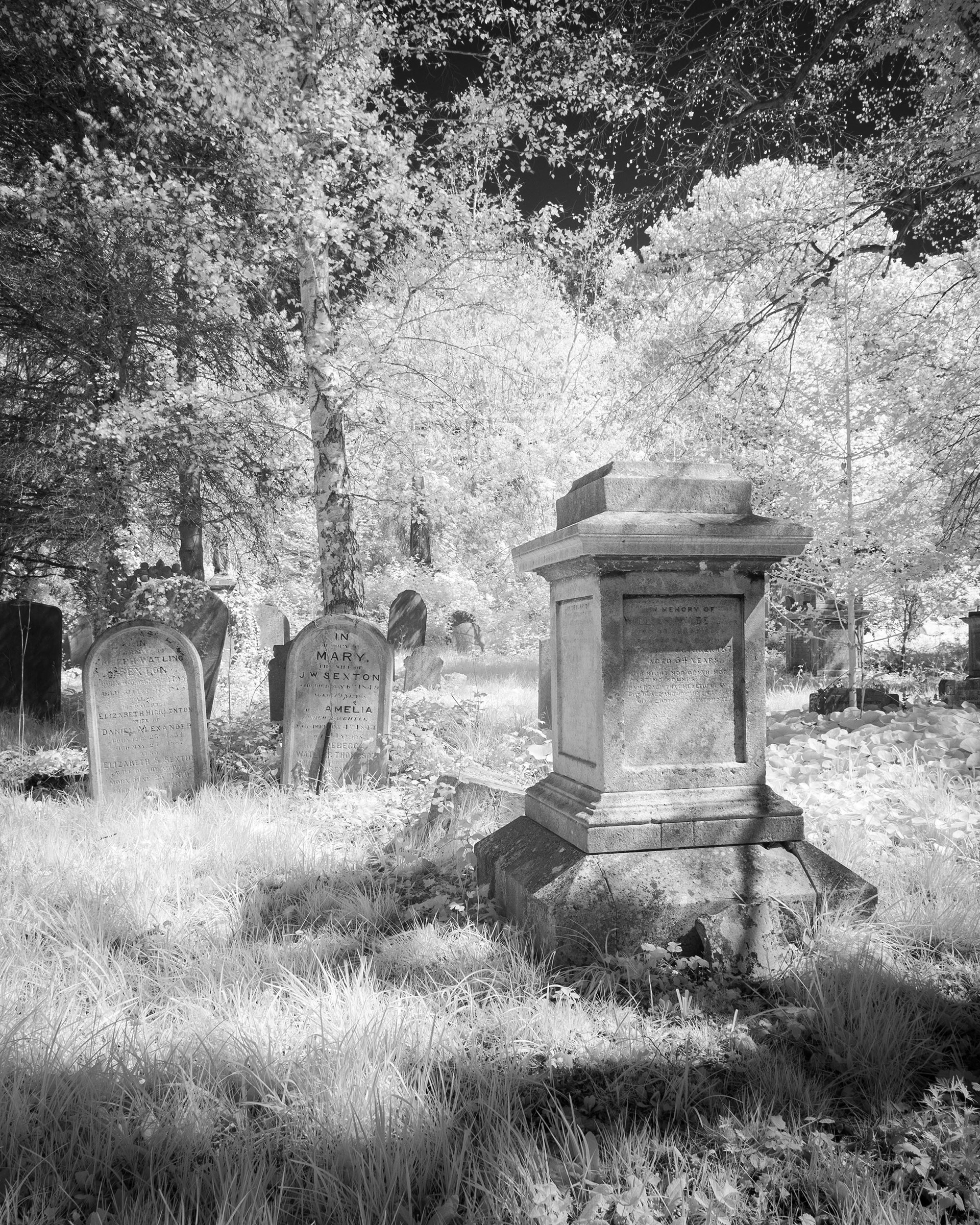 Rosary Cemetery.
