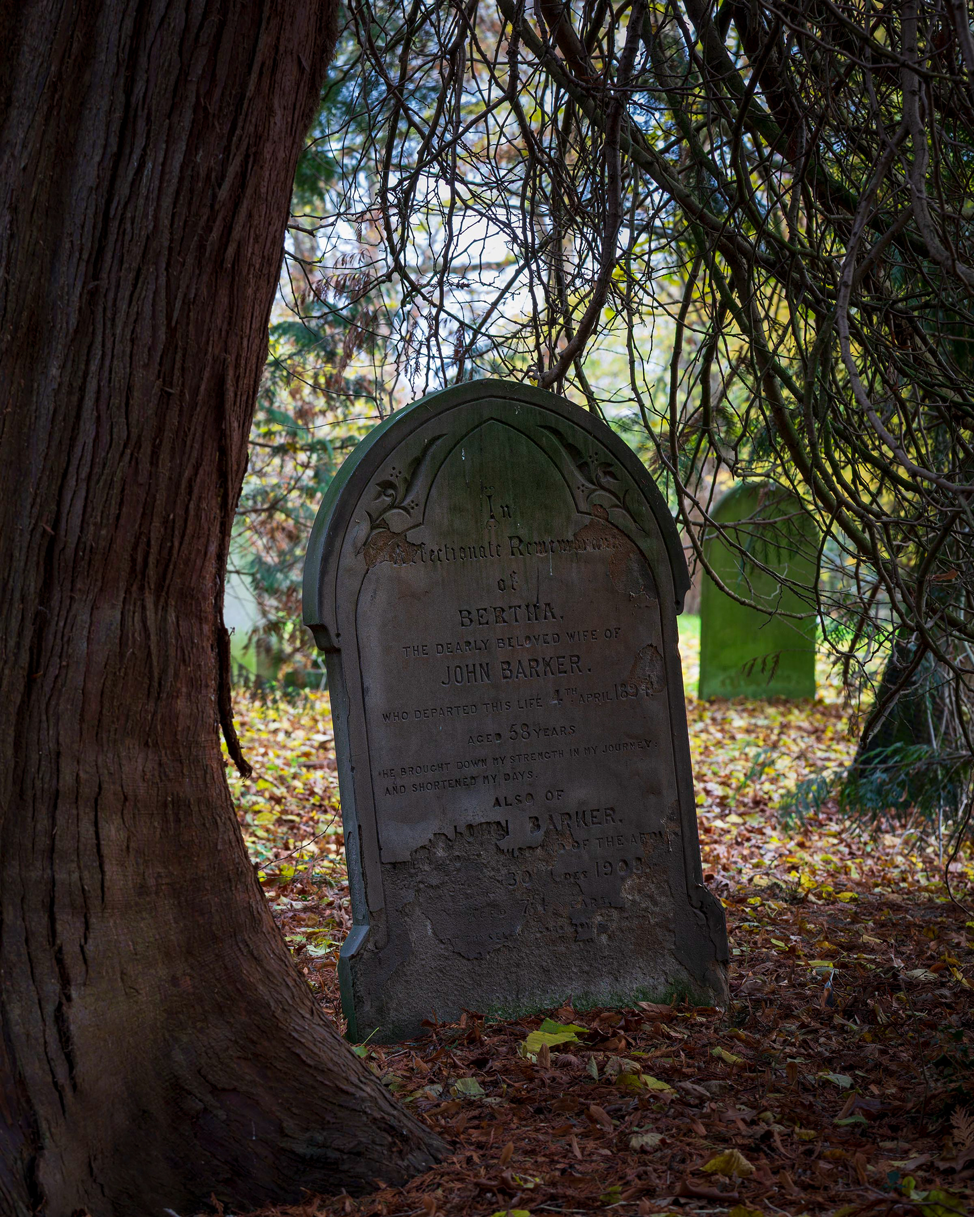 Earlham Cemetery, Norwich.
