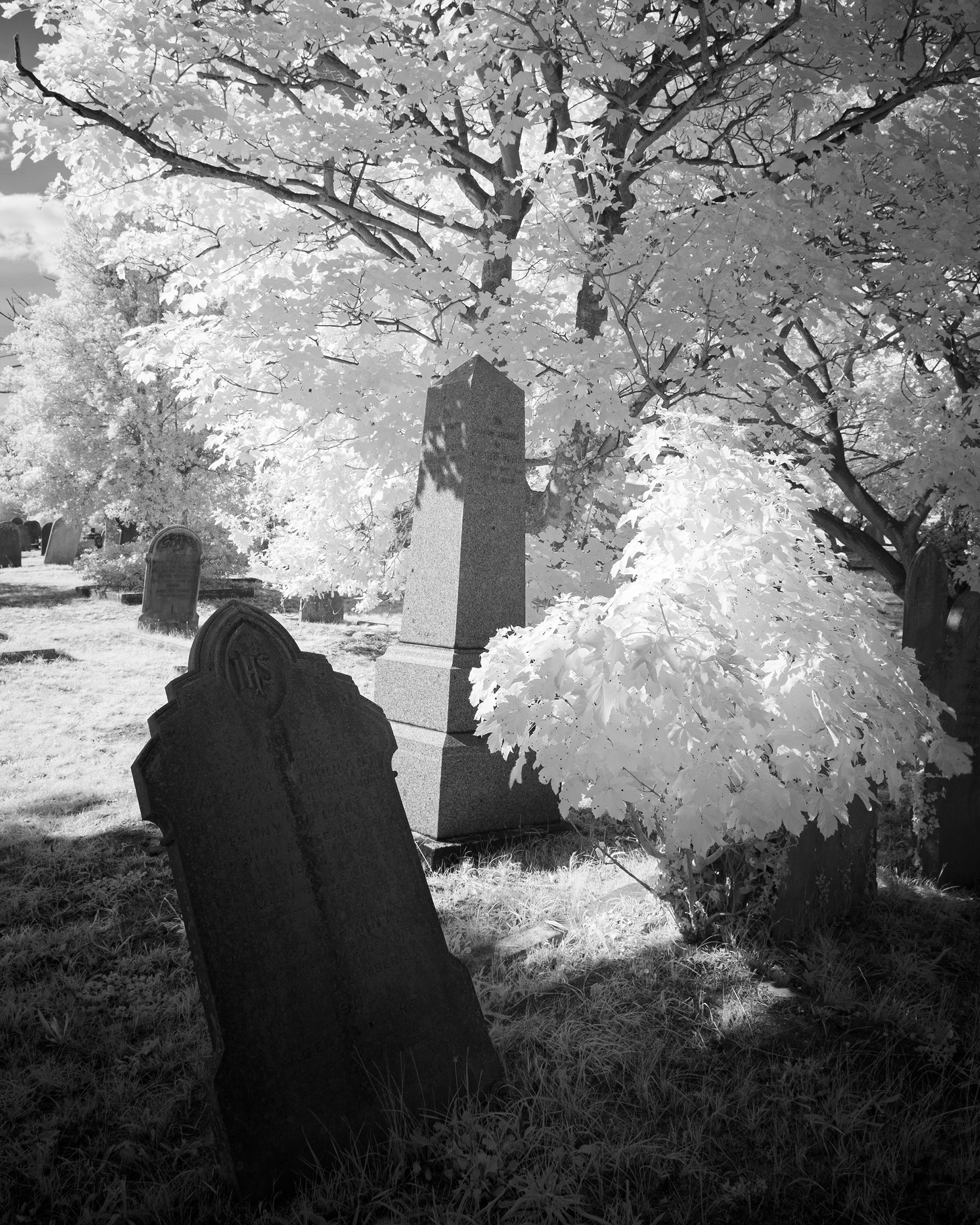 Great Yarmouth Old Cemetery.