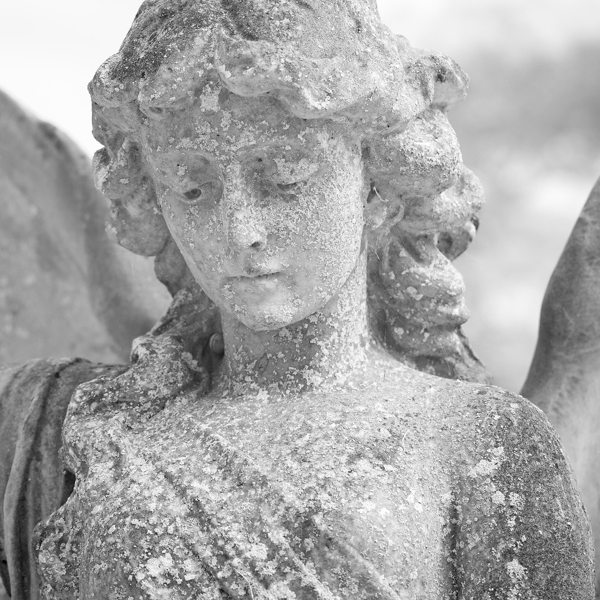 Wymondham Cemetery.