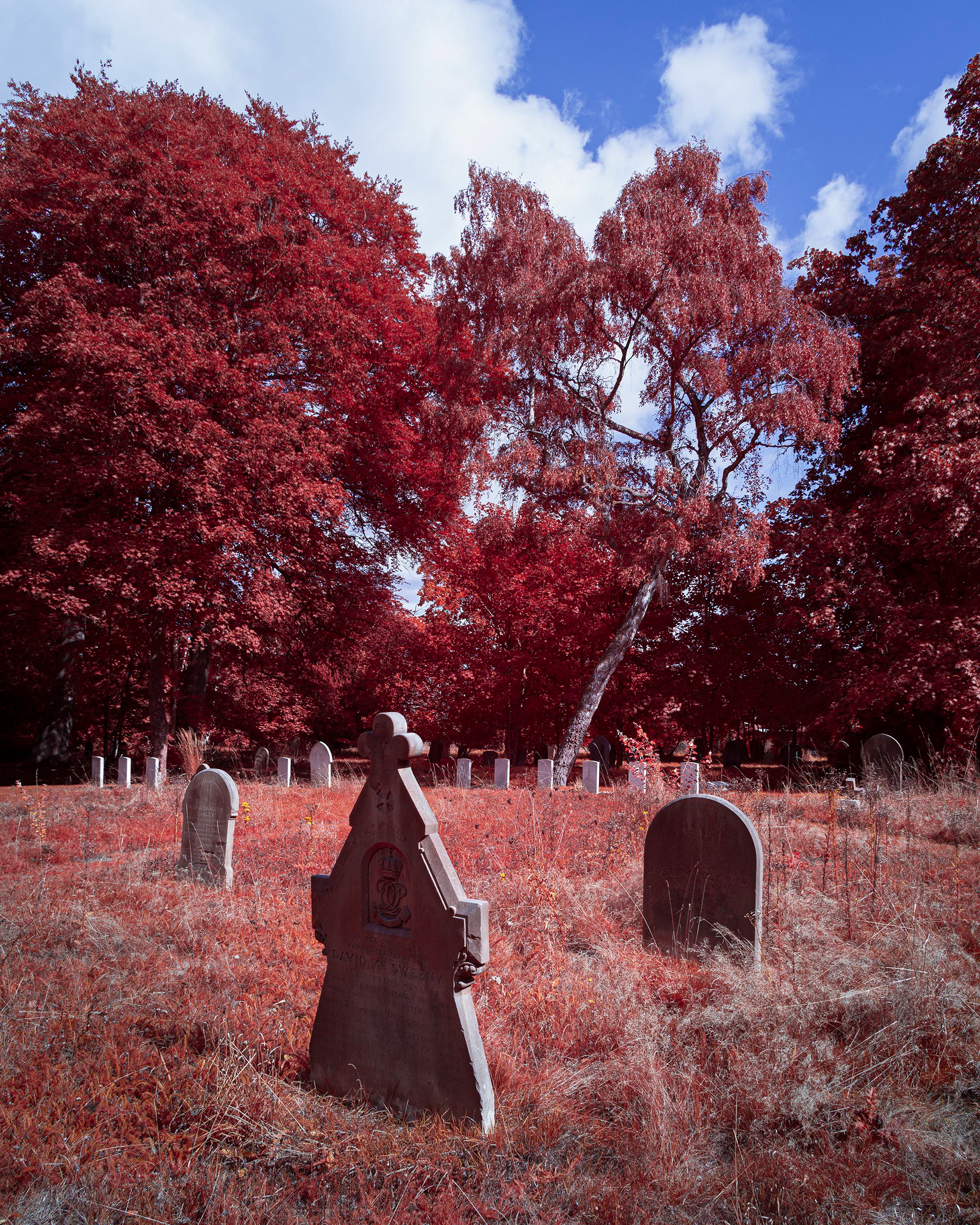 Earlham Cemetery.