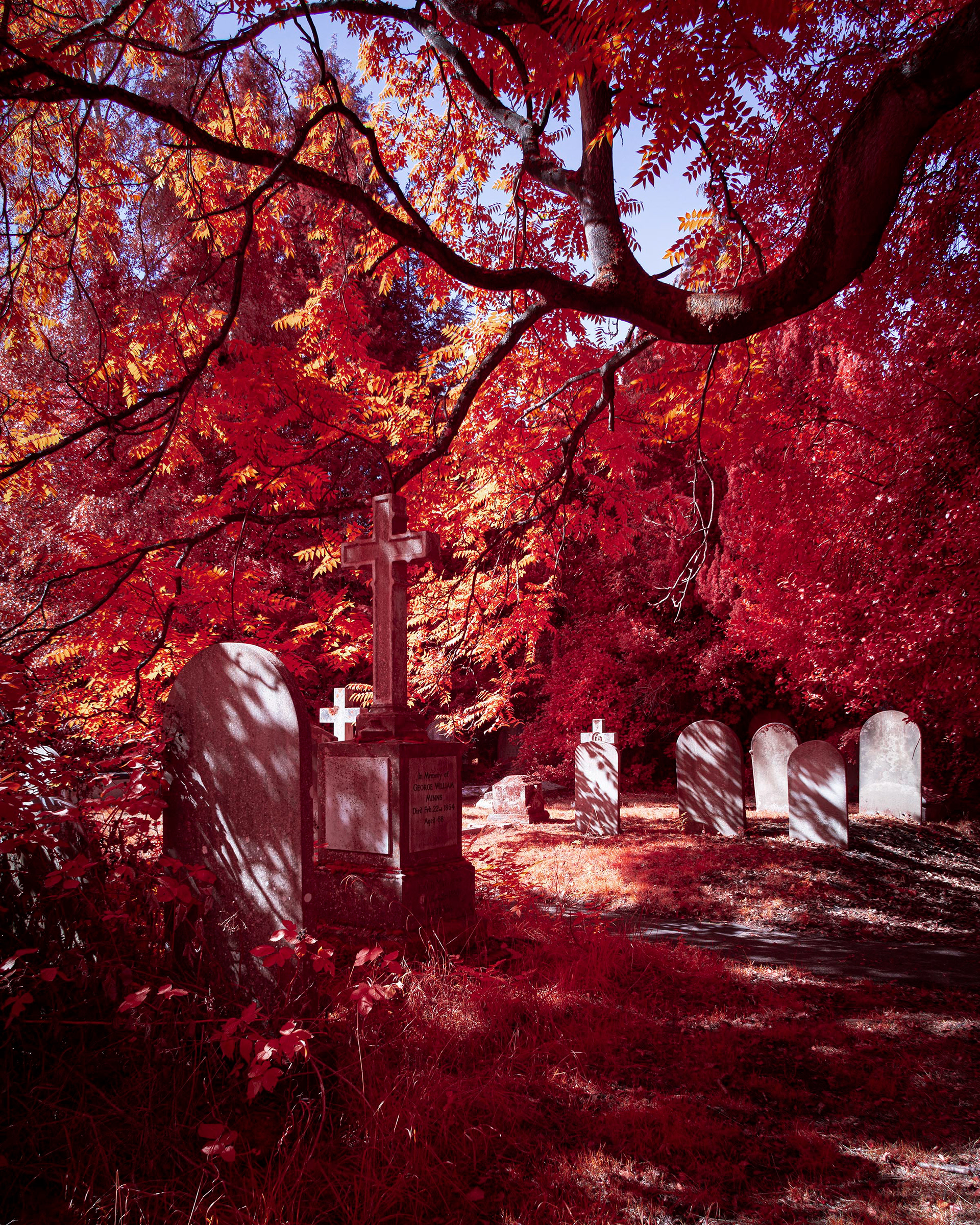 Earlham Cemetery.